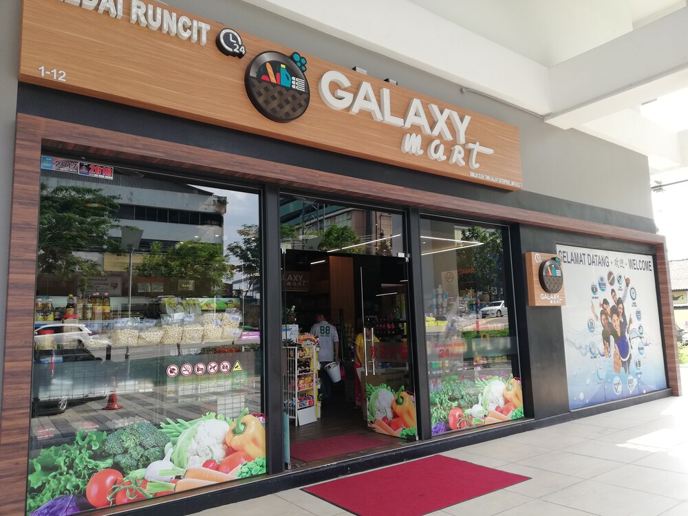 Twin Galaxy