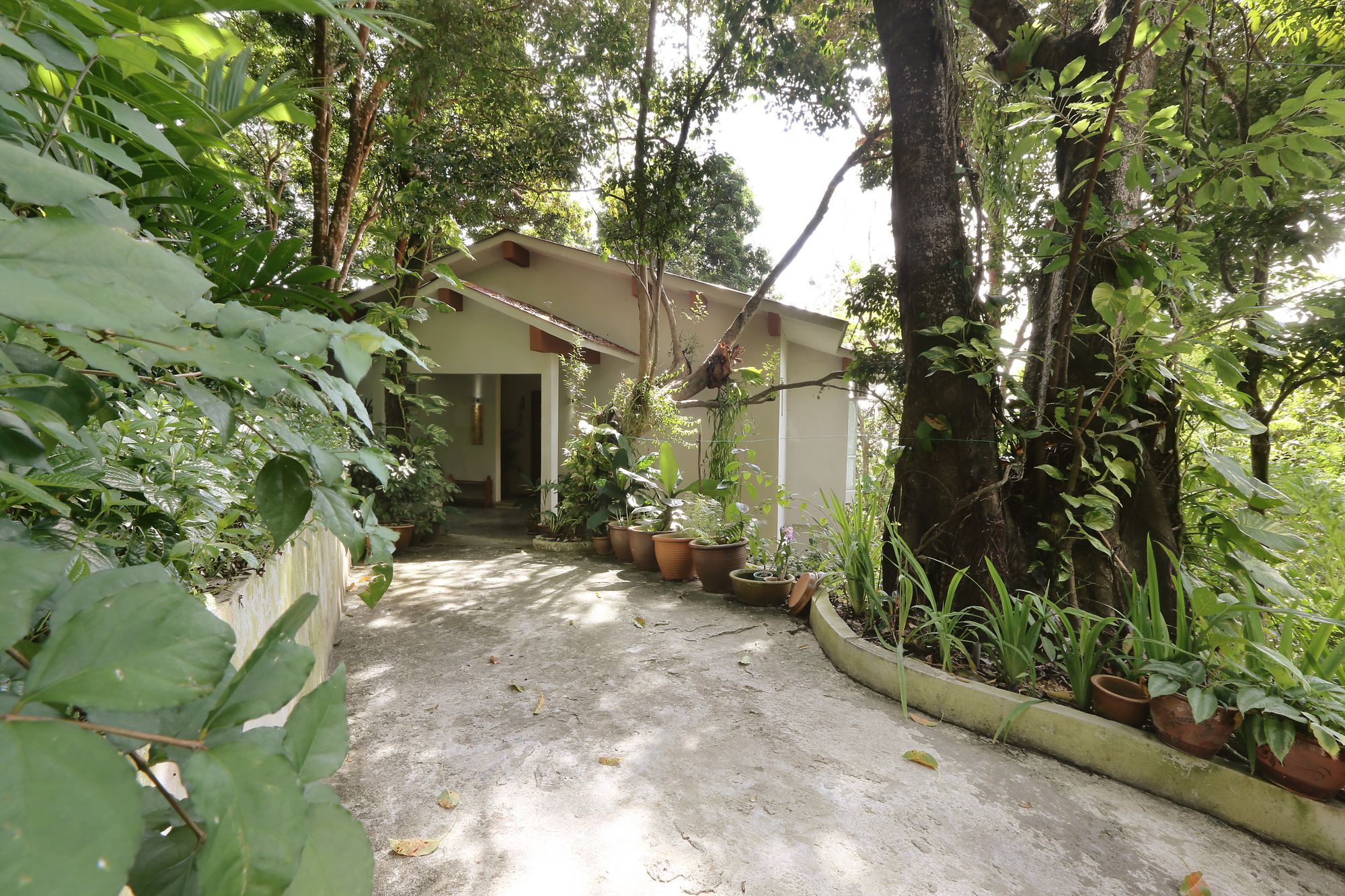 Ambong Ambong, Langkawi Rainforest Retreat