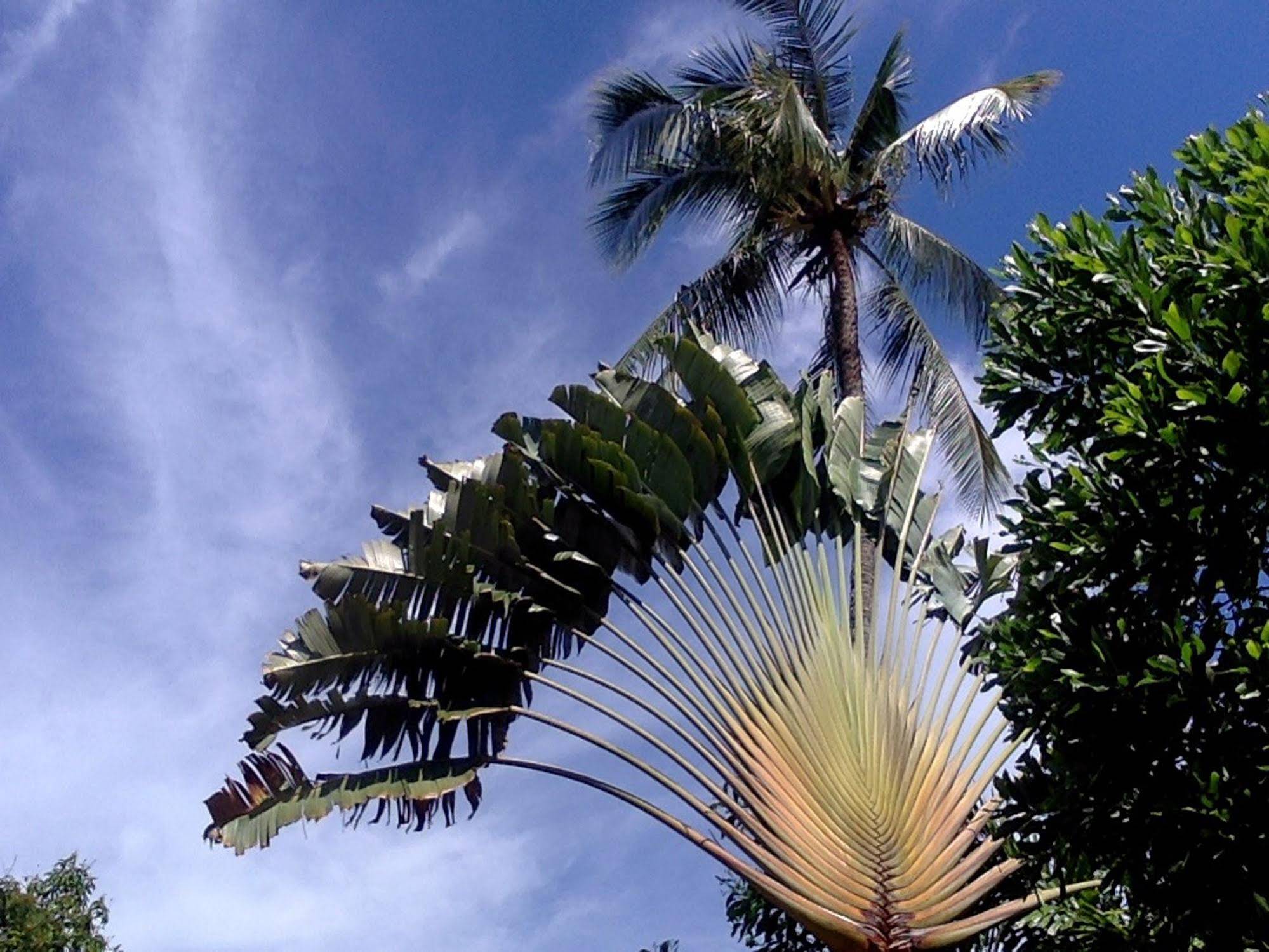 Ocean Garden Langkawi