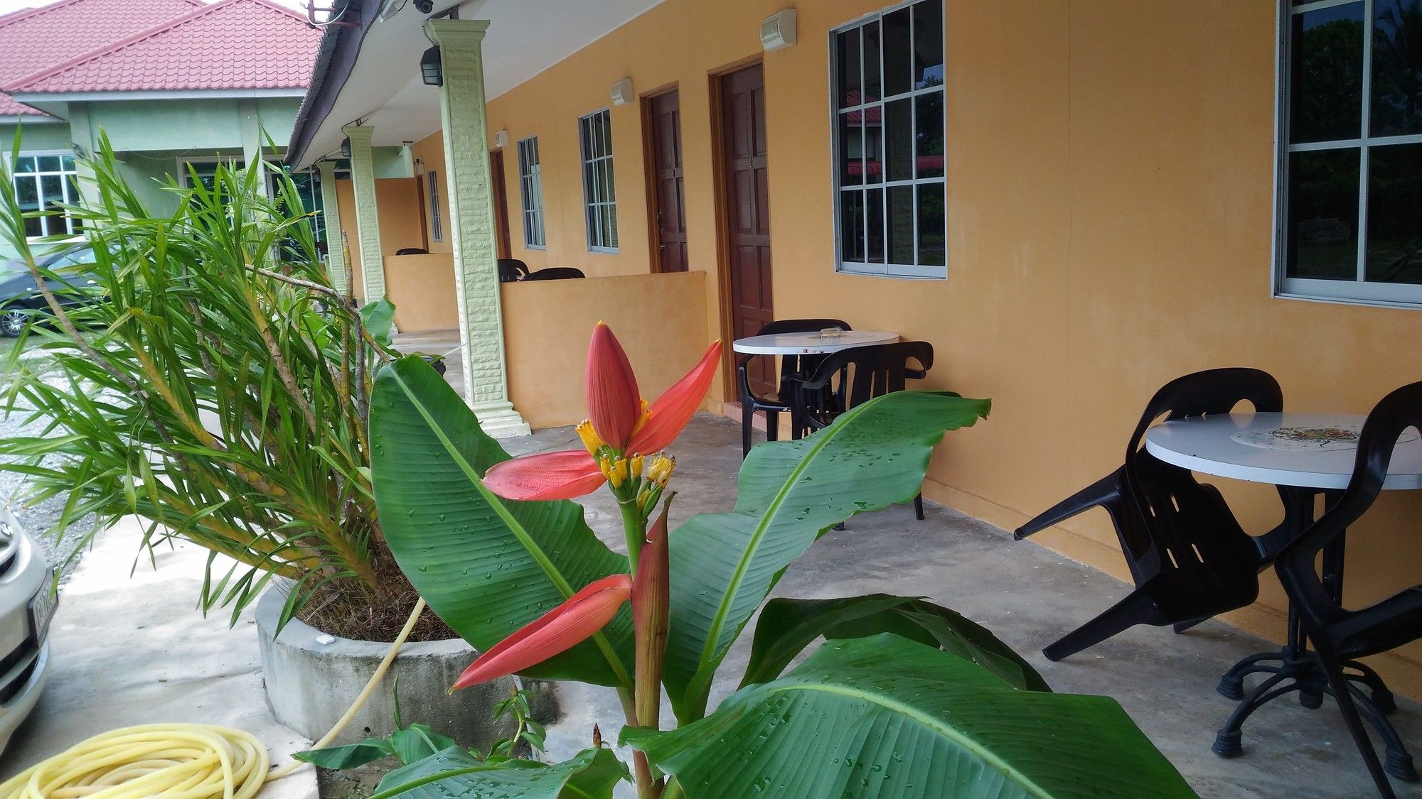 Tokman Inn Langkawi