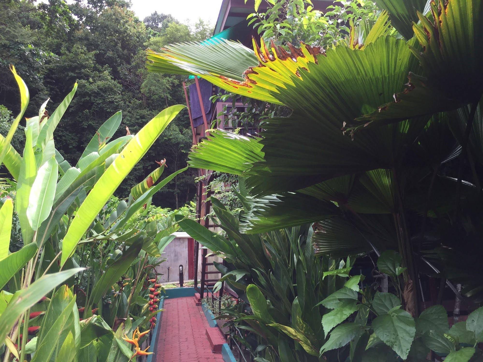 T Star Cottage Langkawi