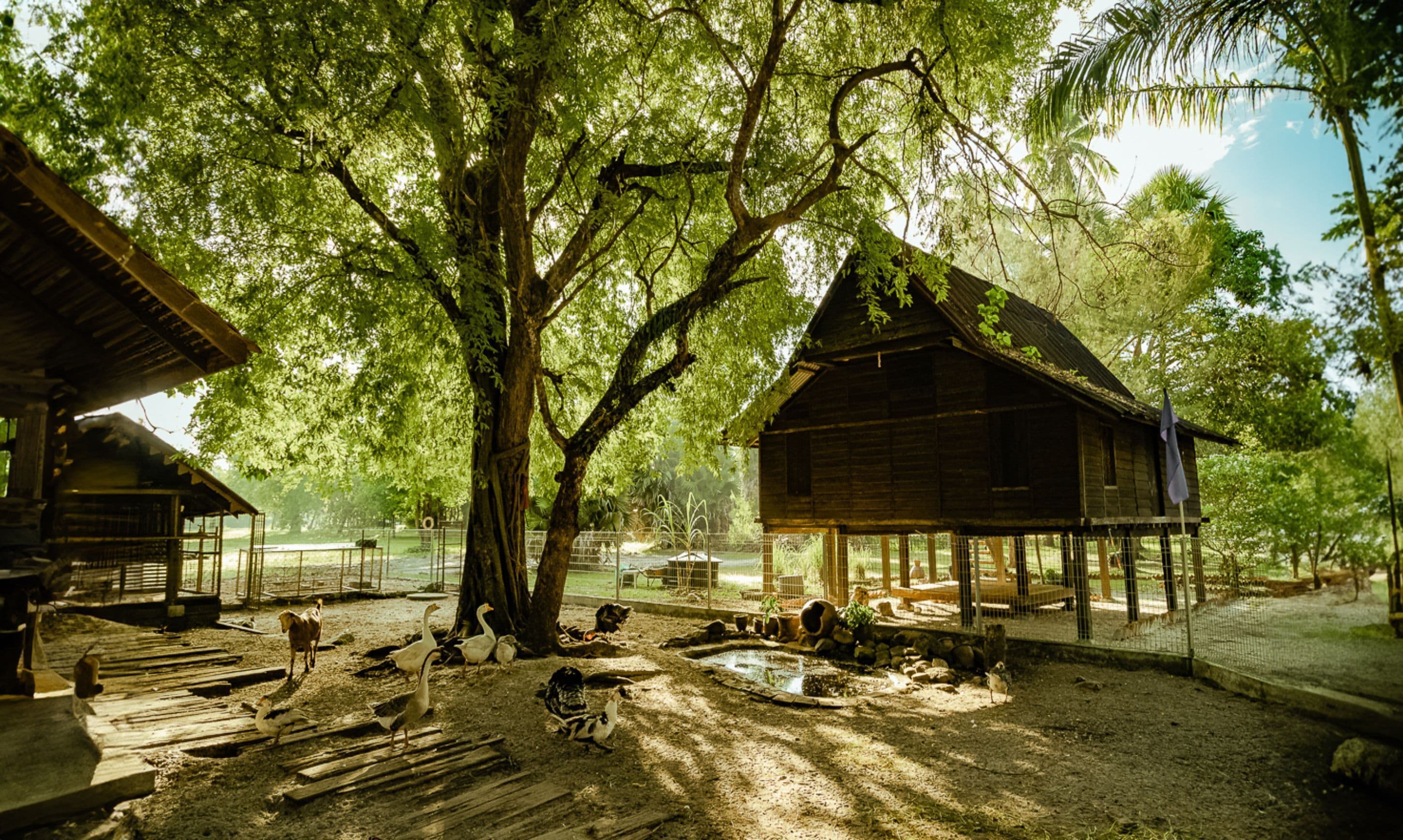 Pelangi Beach Resort & Spa
