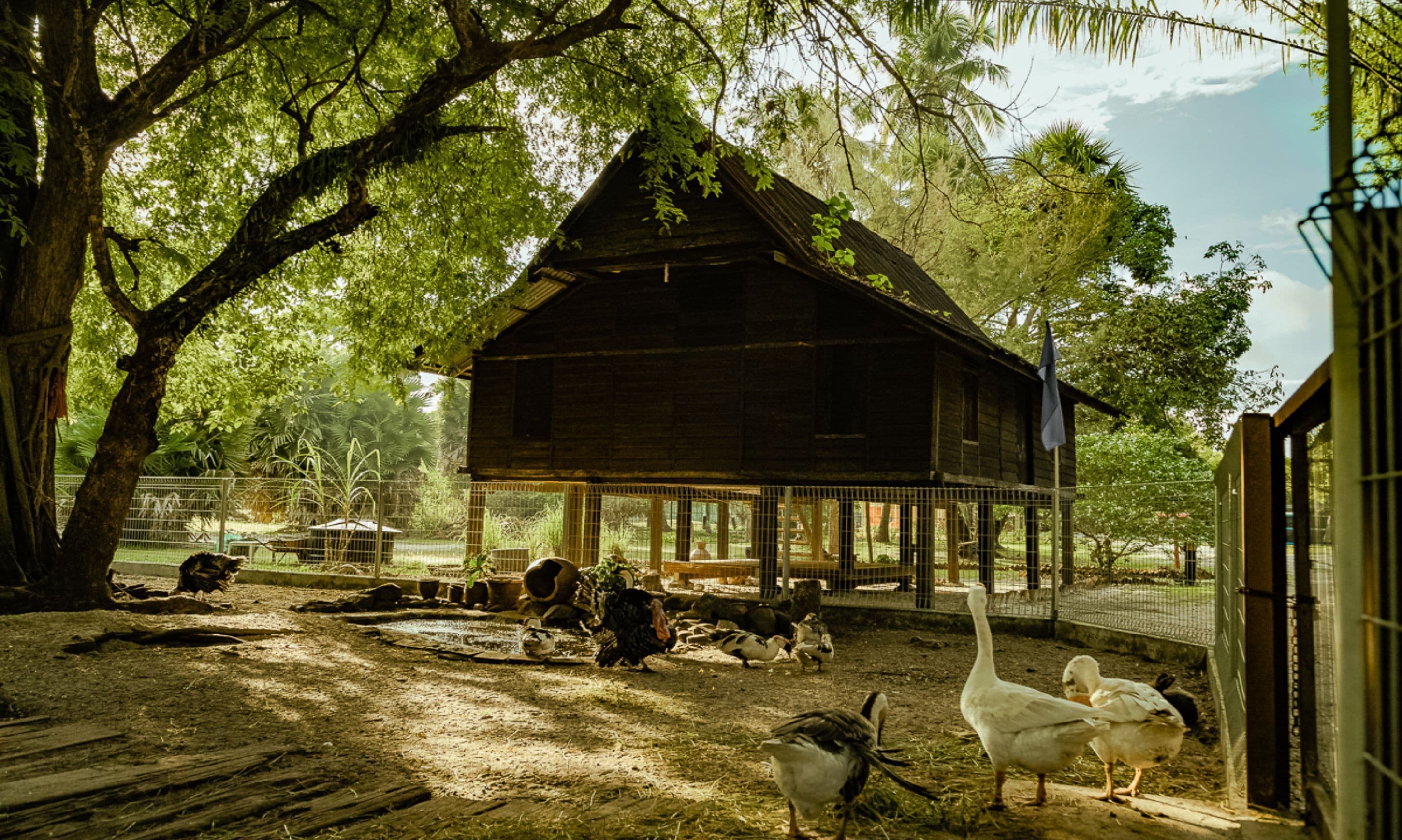 Pelangi Beach Resort & Spa