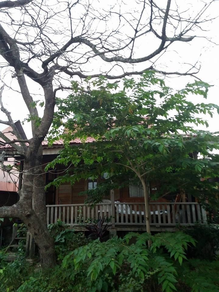 The Village Langkawi