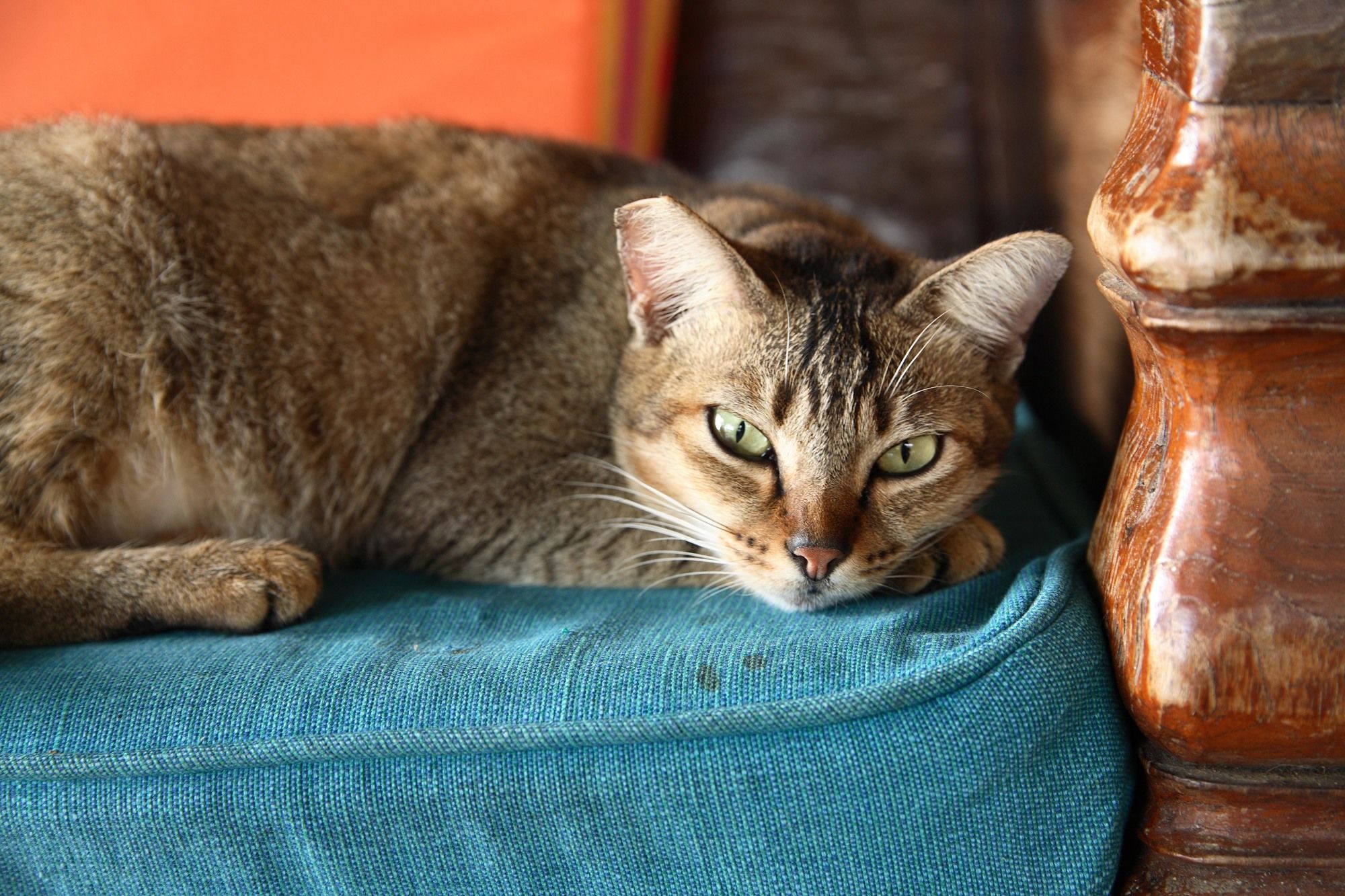 Bon Ton Antique Wooden Villas