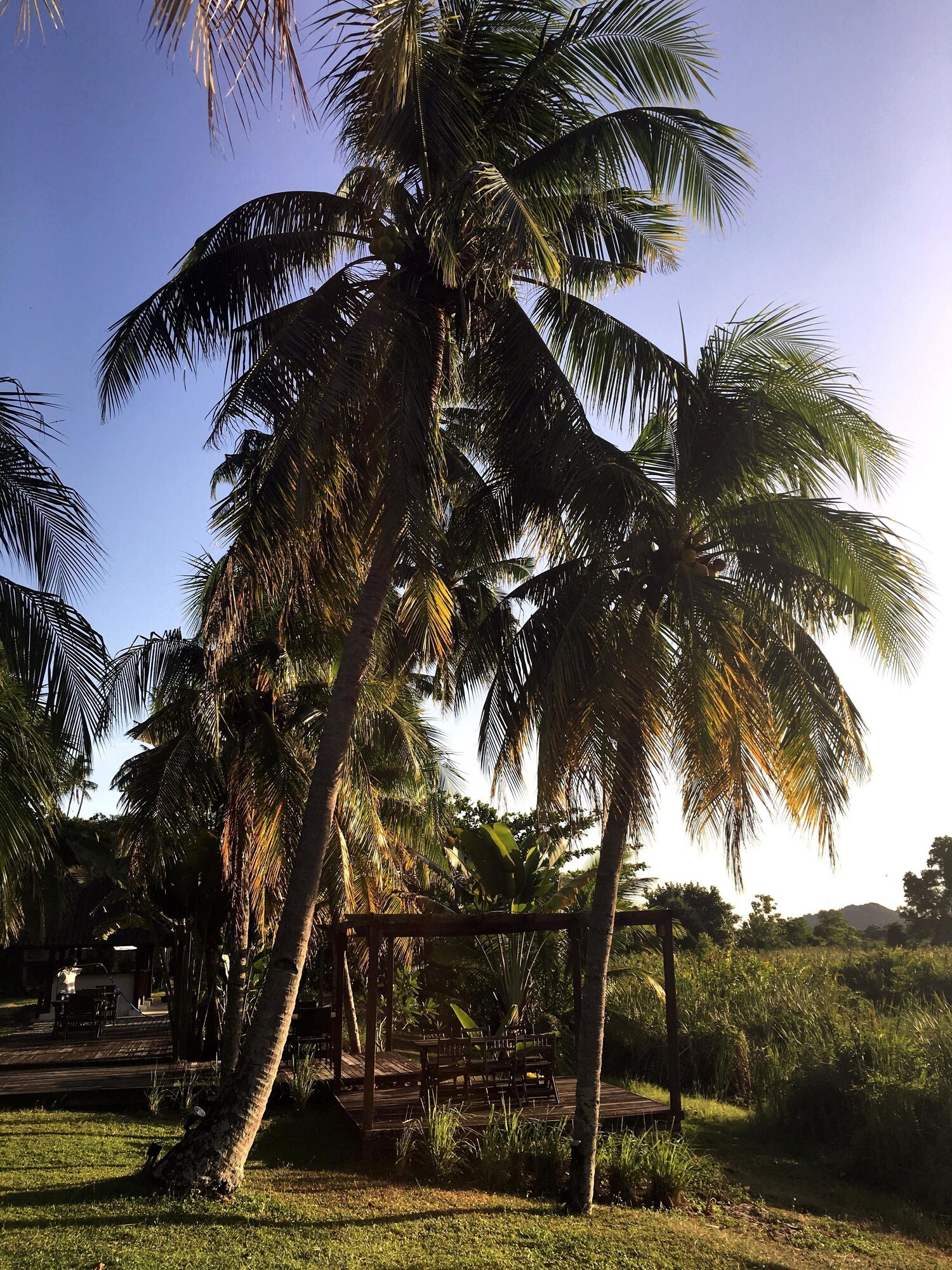 Bon Ton Antique Wooden Villas