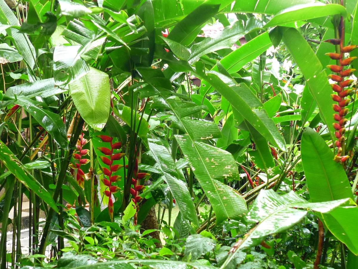 Holiday Villa Resort & Beachclub Langkawi