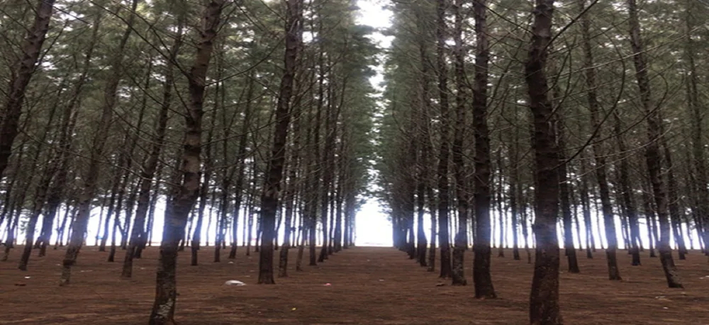 H Elite Design Hotel