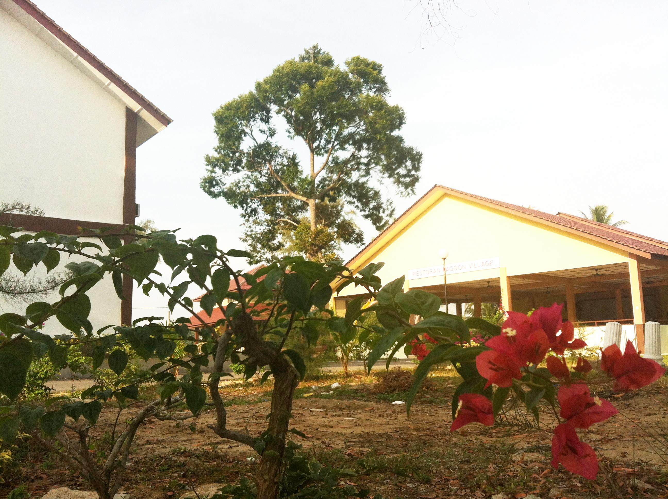 Home Beach Village Resort