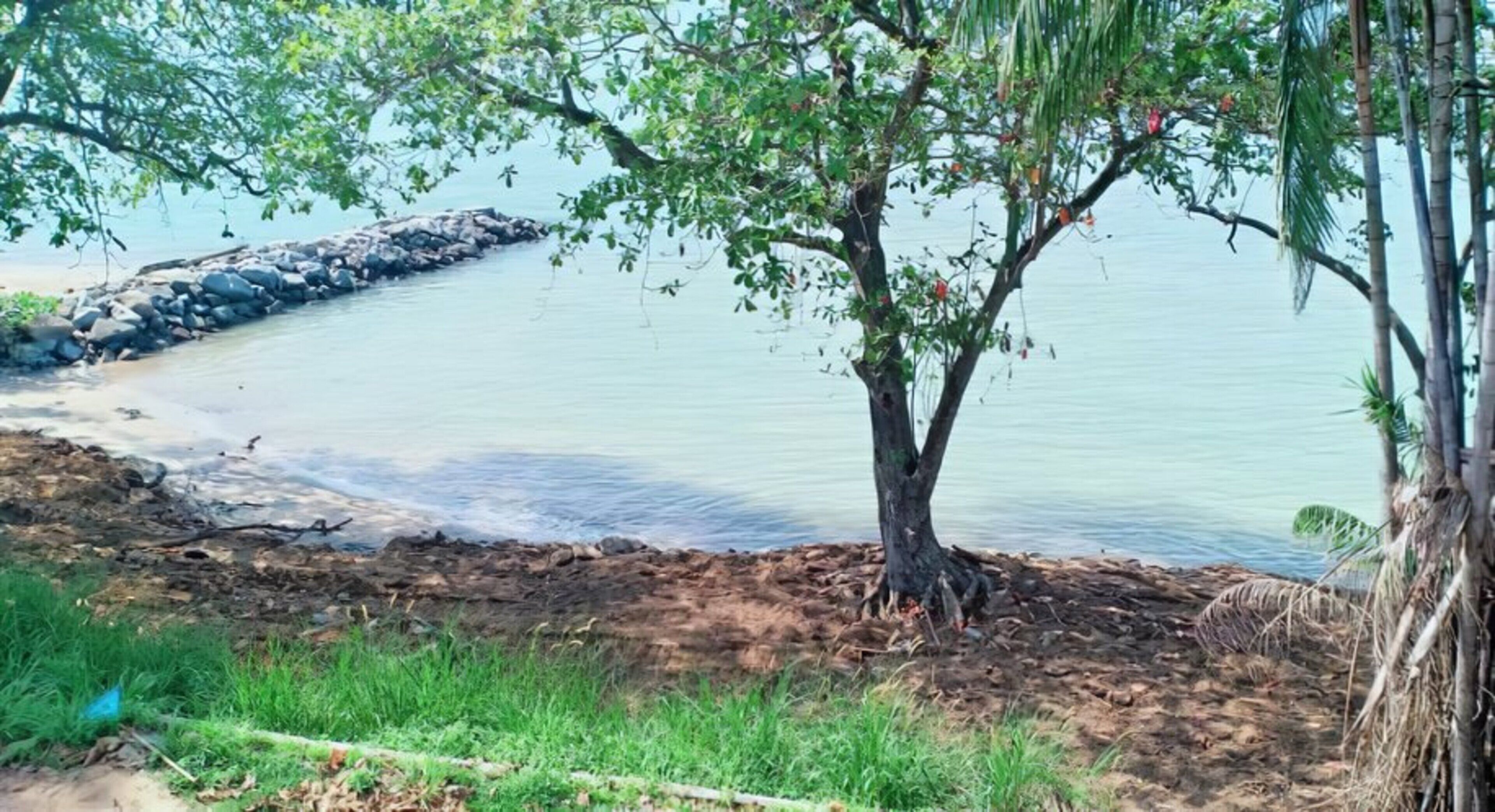 Desa Balqis Beach Resort by OYO