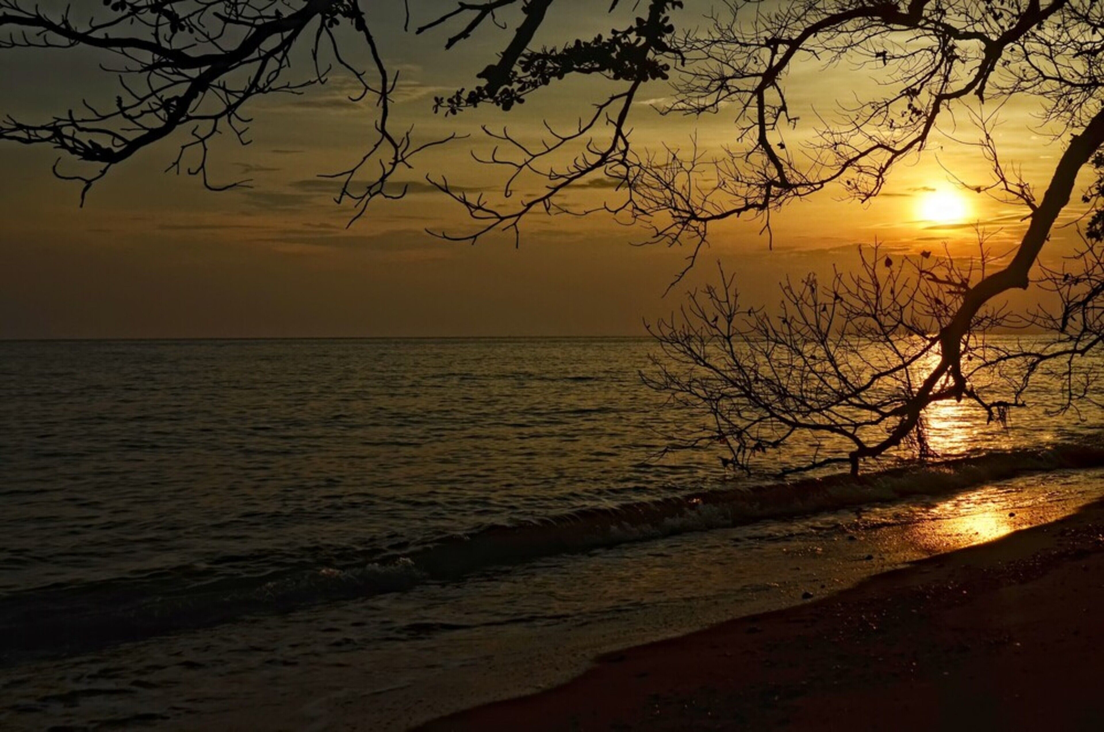 Desa Balqis Beach Resort by OYO