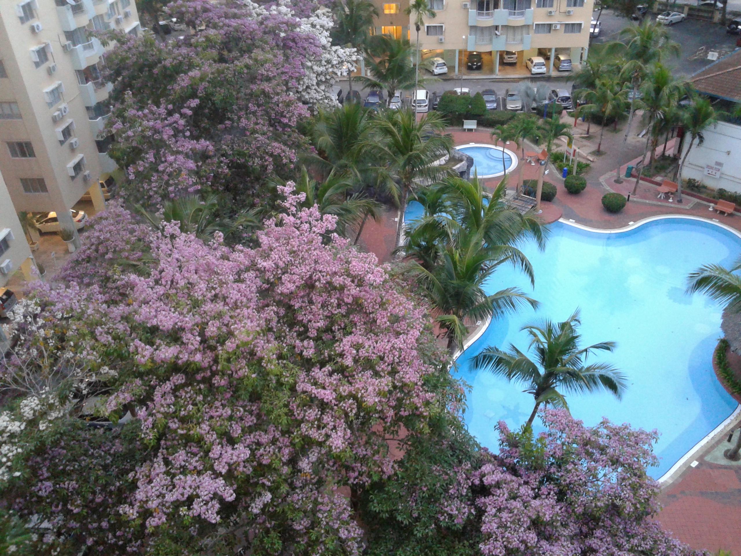 Garden City Melaka Service Apartments