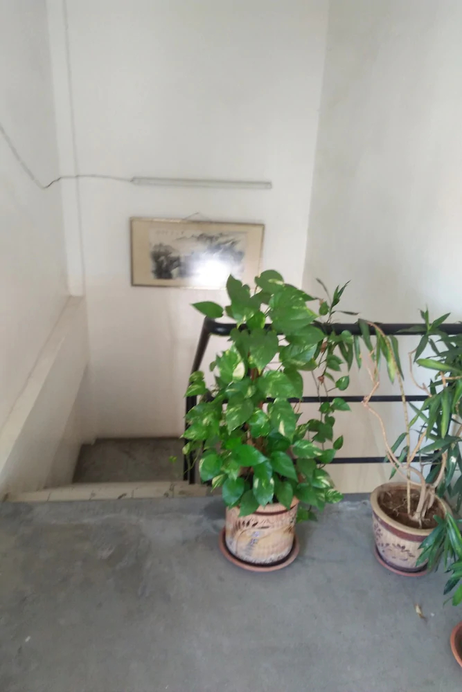 Vintage Inn by OYO Rooms