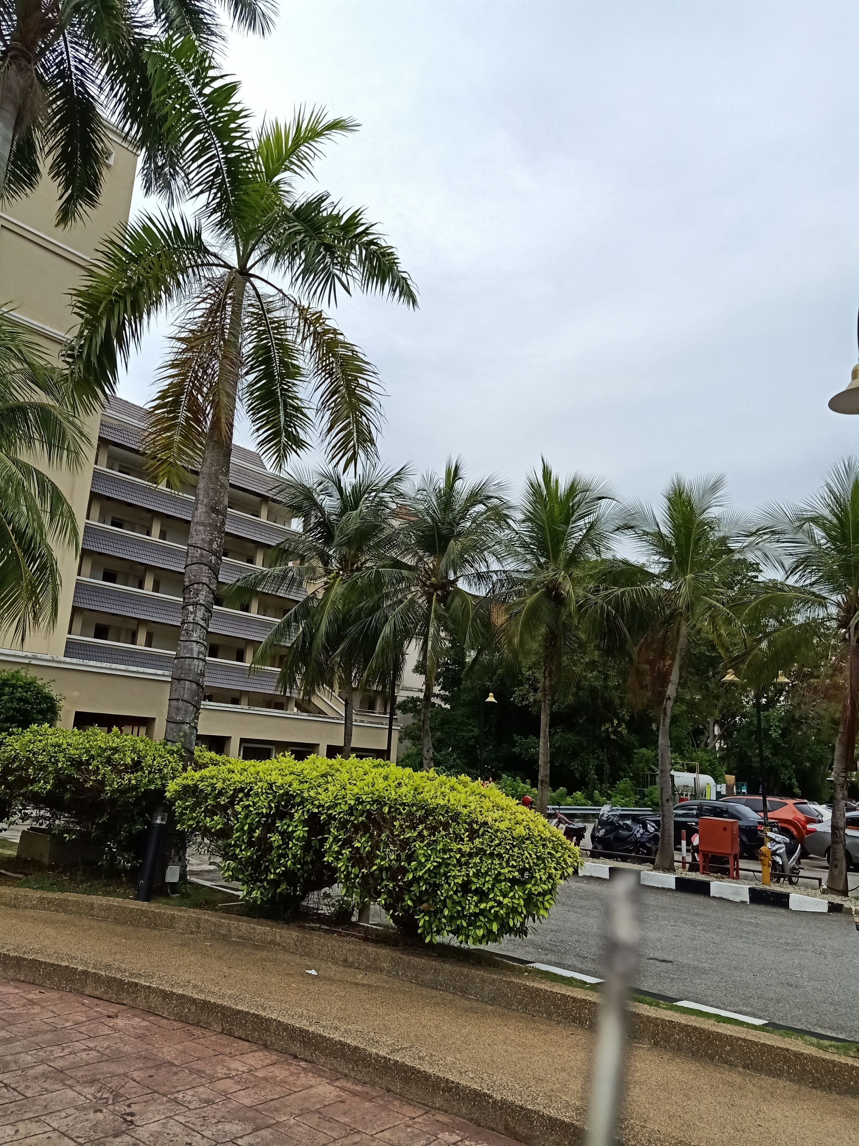 Insta Feel Apartment