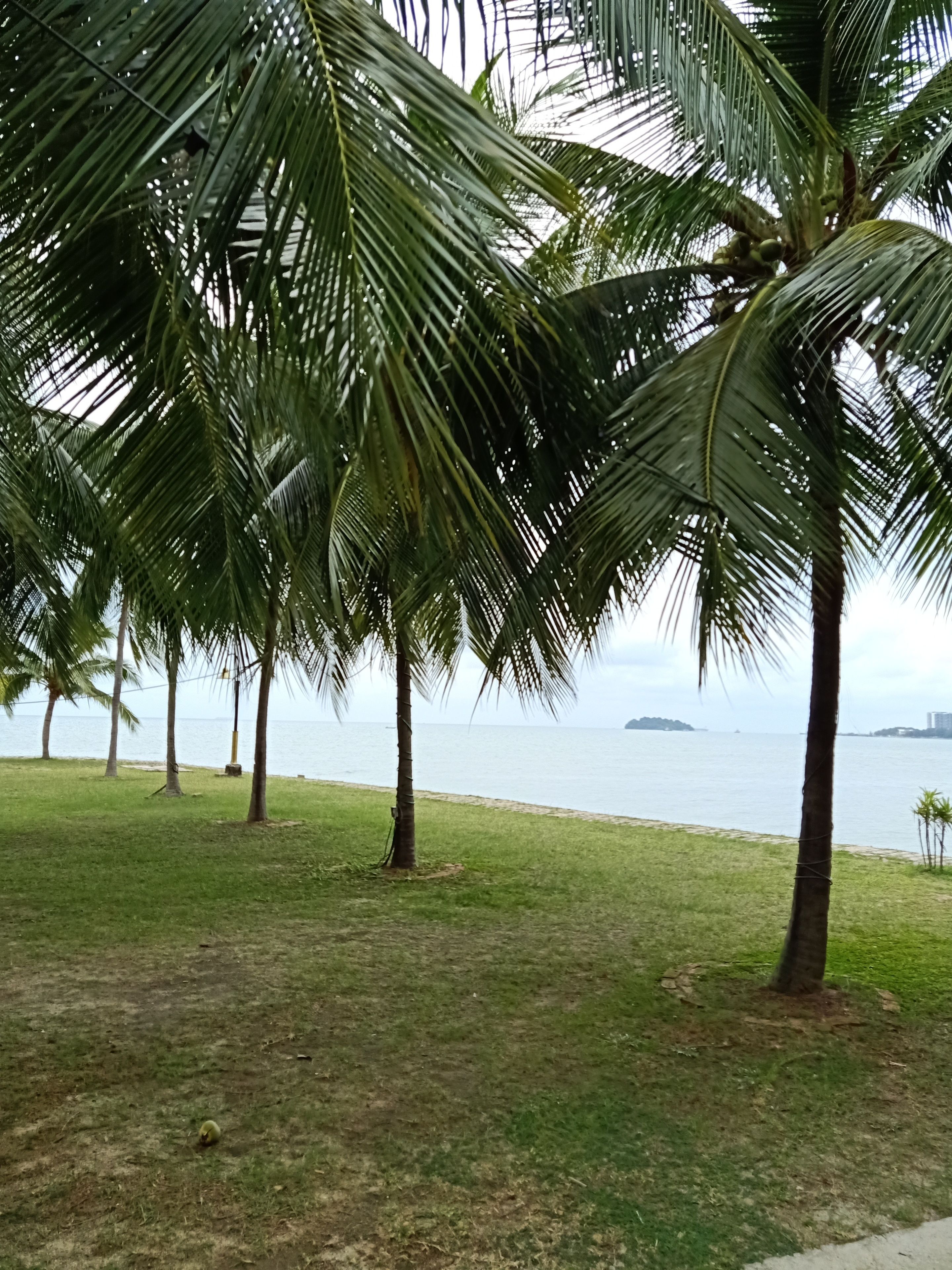 Insta Feel Apartment