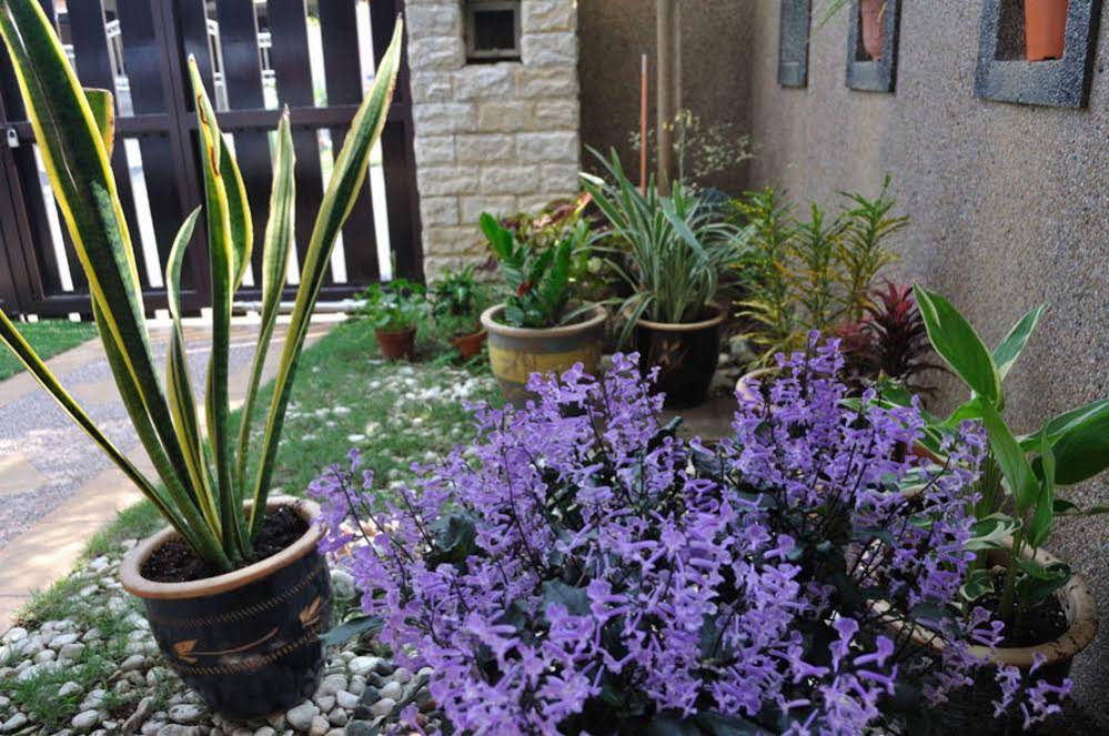 Garden Vacation Suite