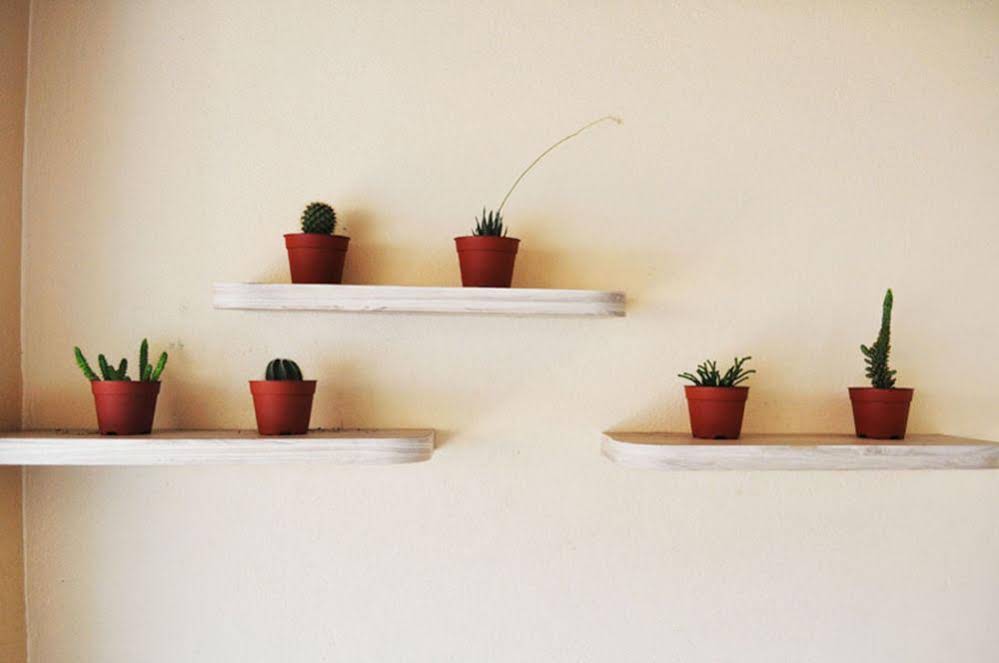 Garden Vacation Suite