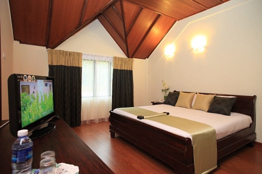 Erya By Suria Janda Baik