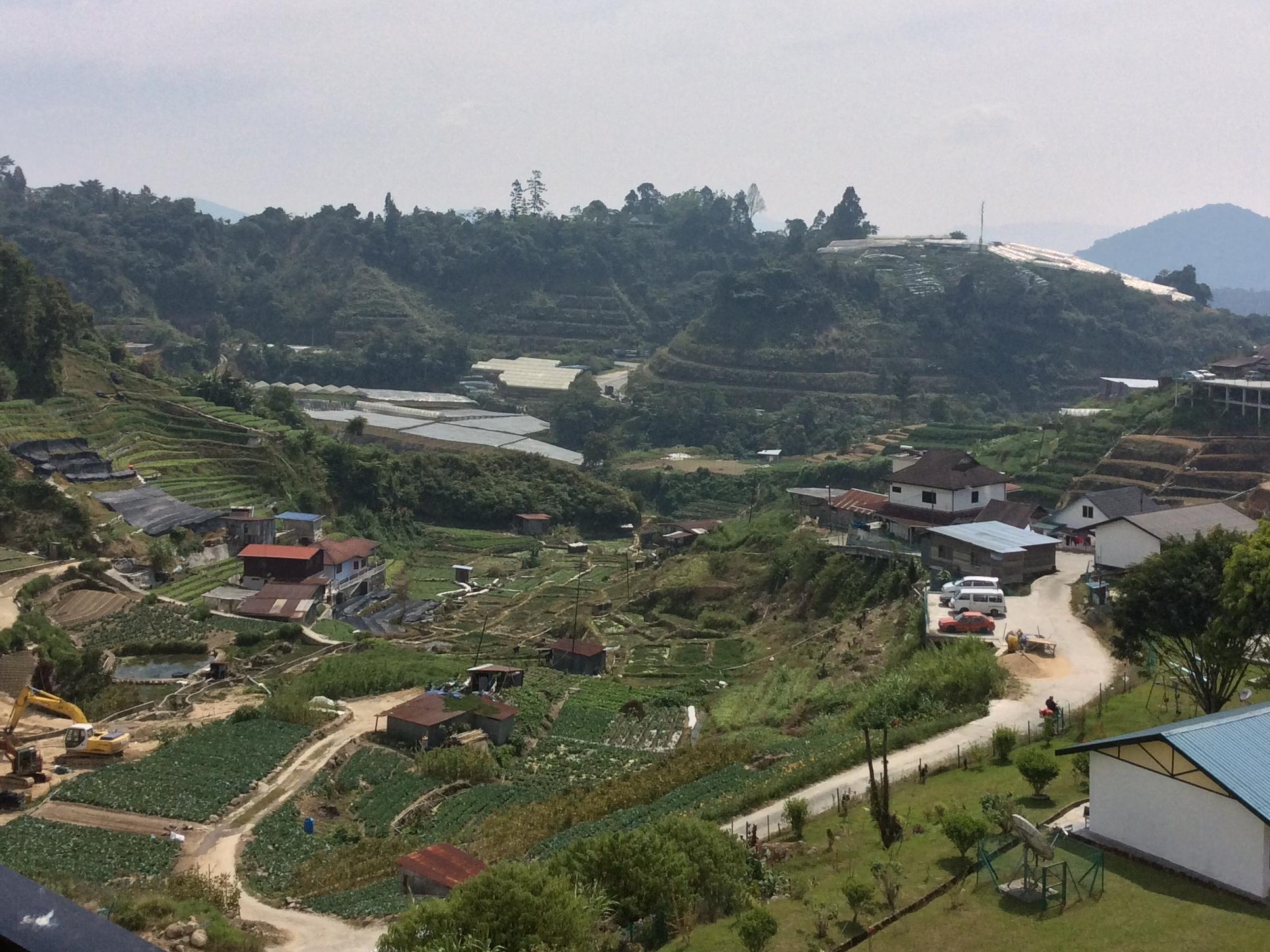 Harvest Green Apartment at Rose Apartment