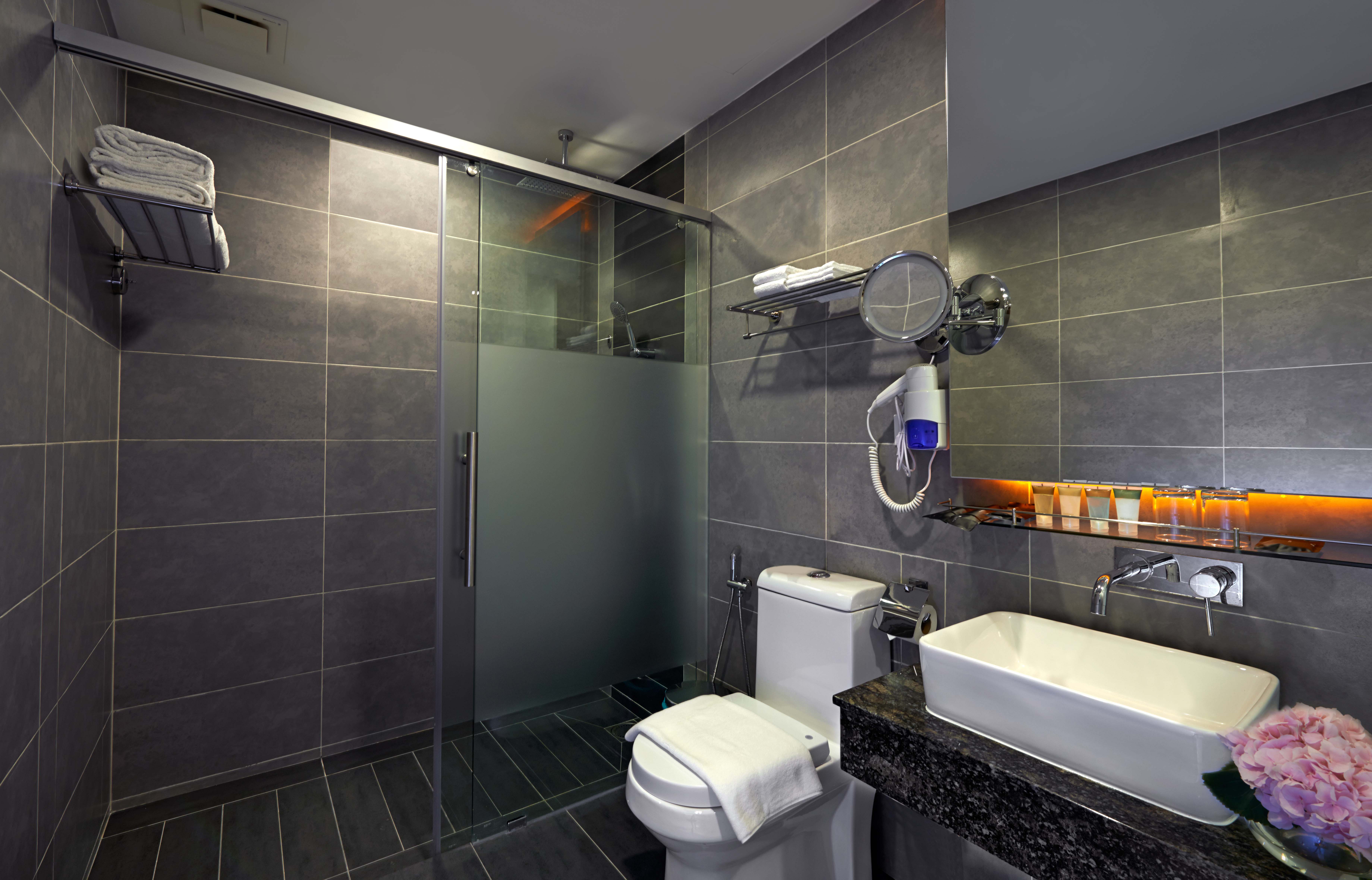 Grand Ion Delemen Hotel