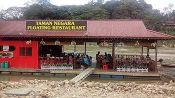 Taman Negara River View Lodge