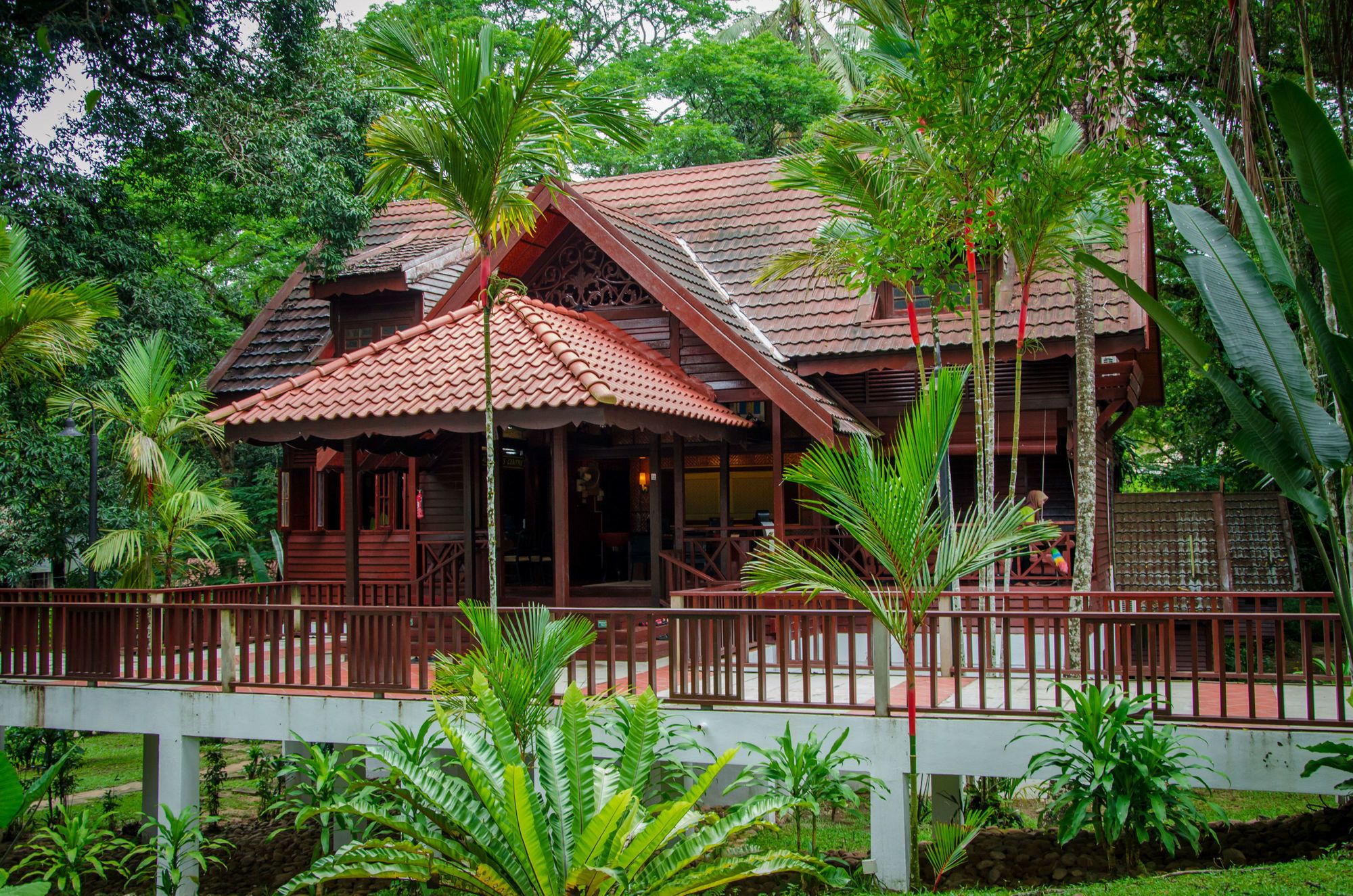 Mutiara Taman Negara