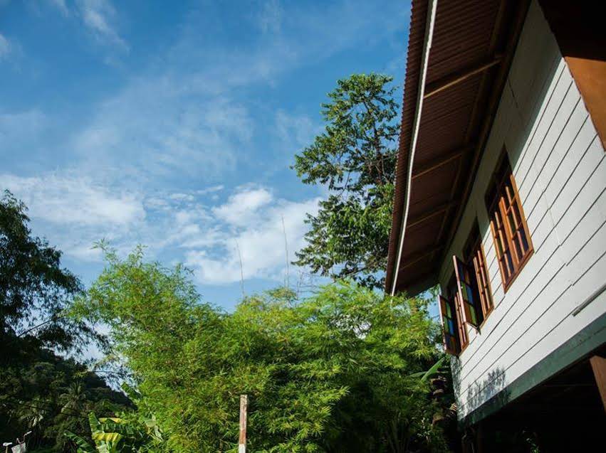 Audi Guesthouse