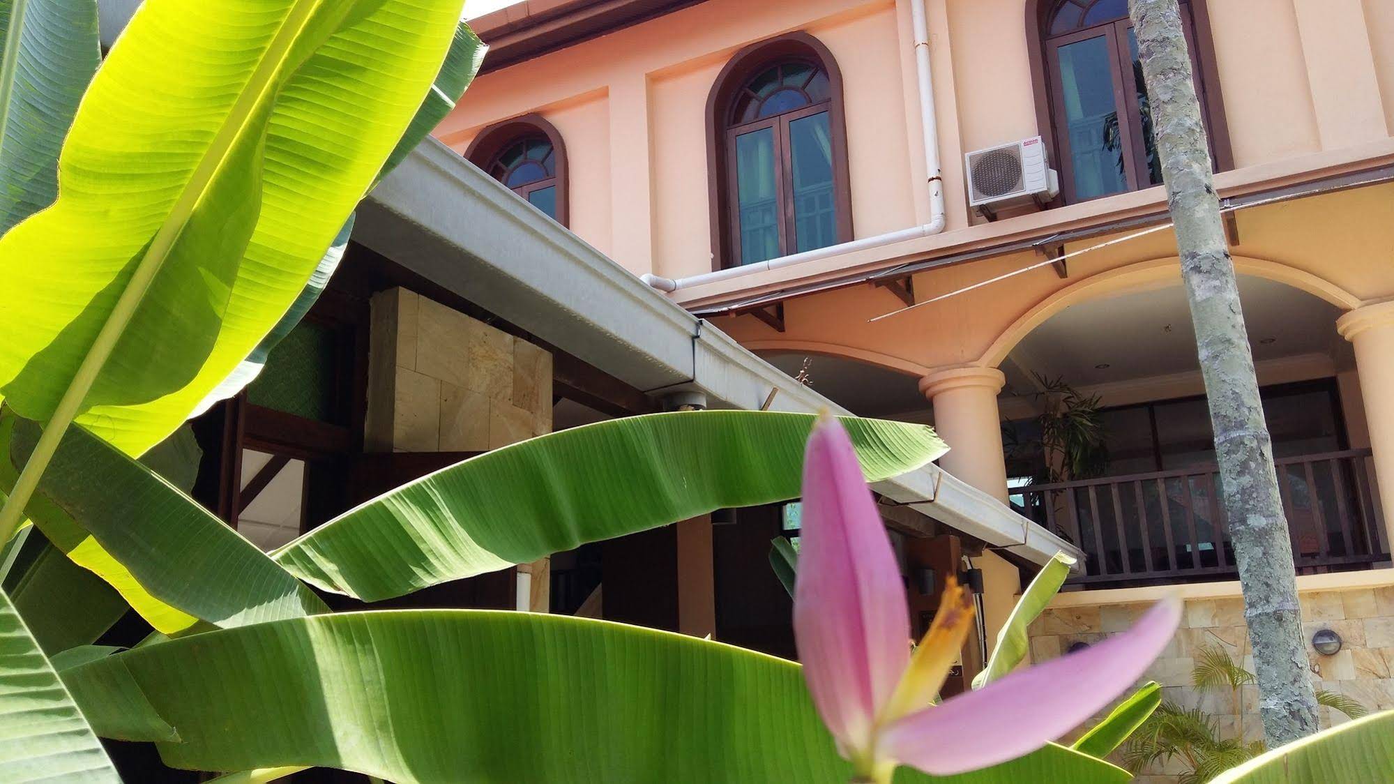 D feringghi and Restaurant