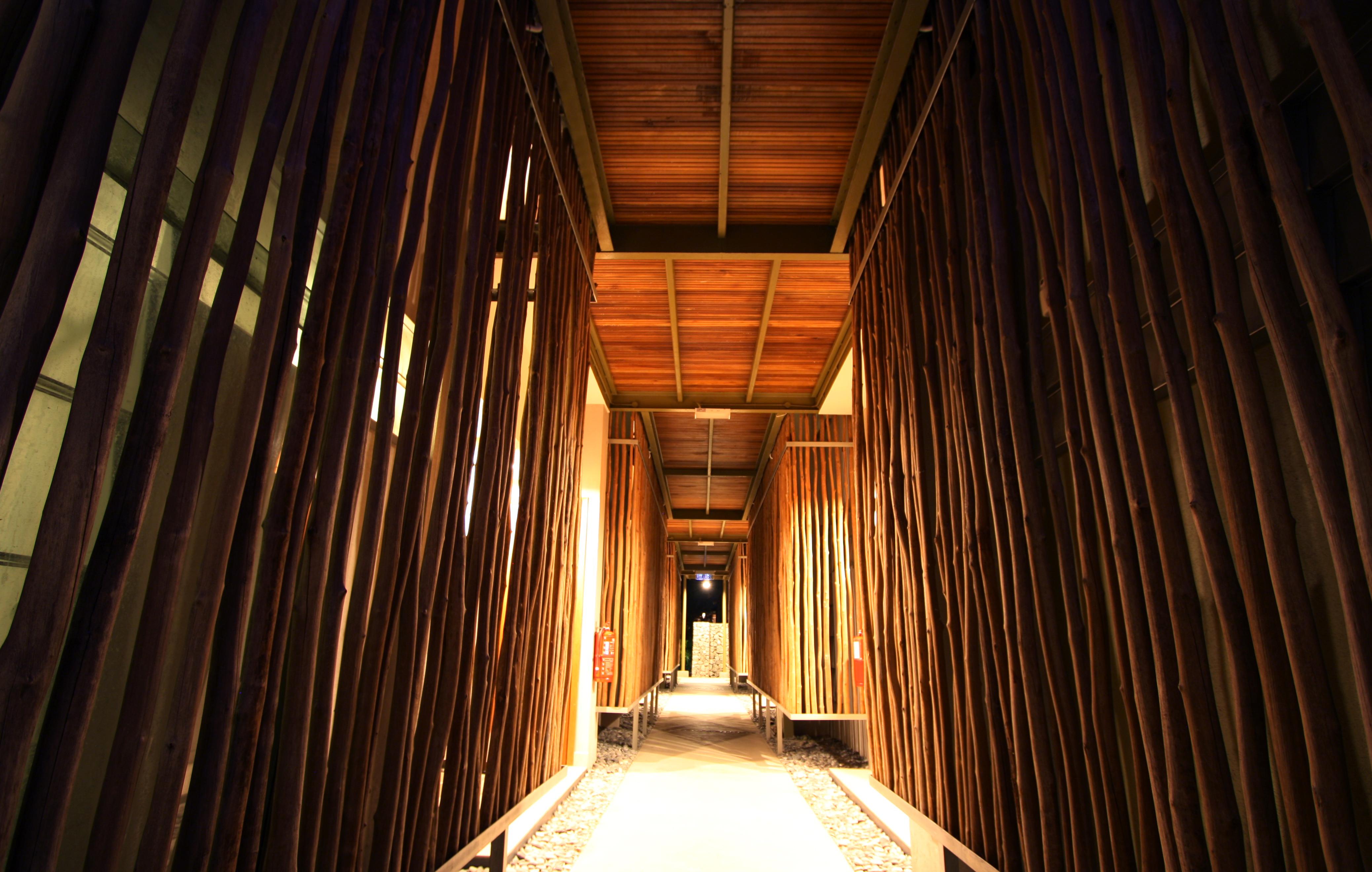 Belum Rainforest Resort