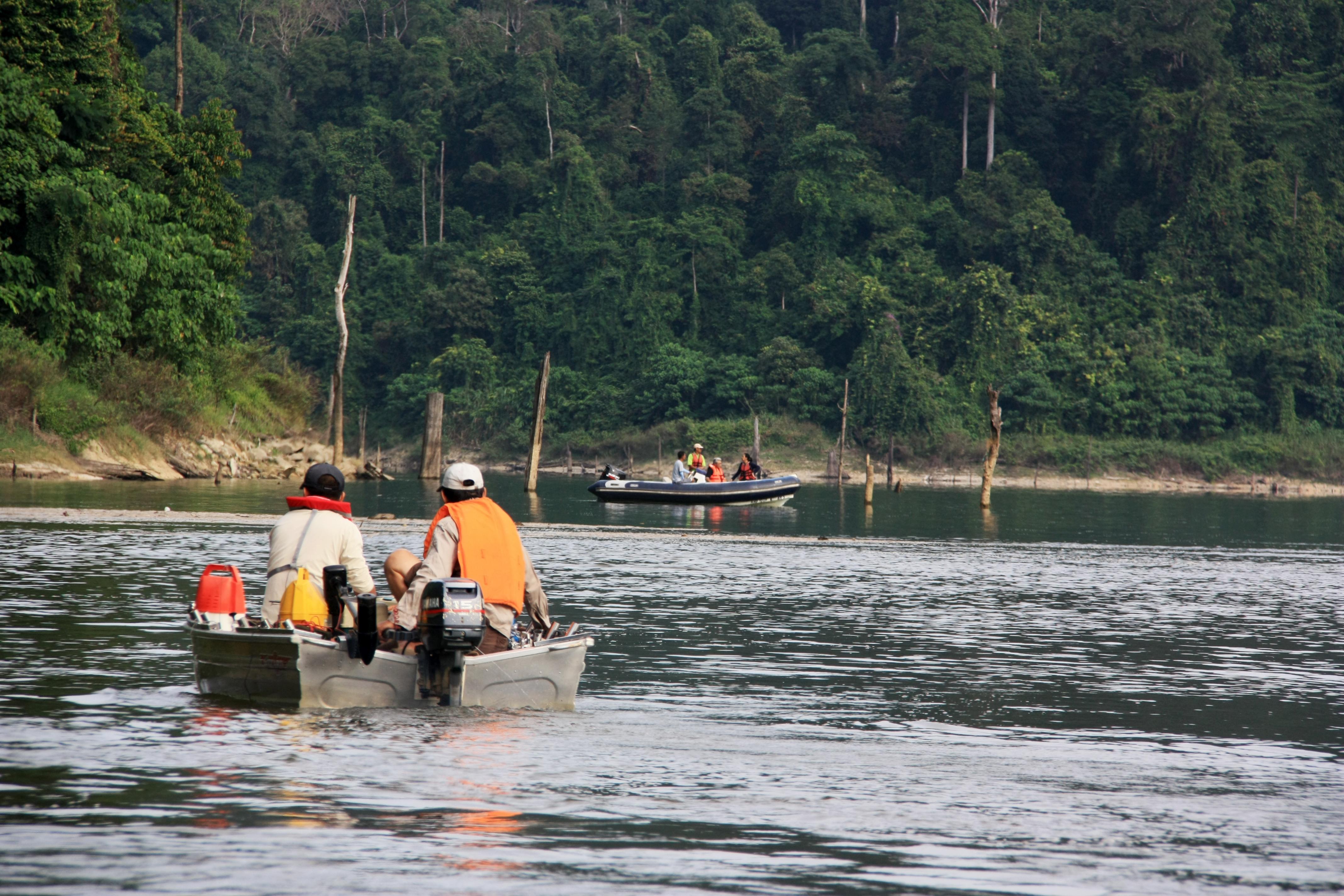 Belum Rainforest Resort
