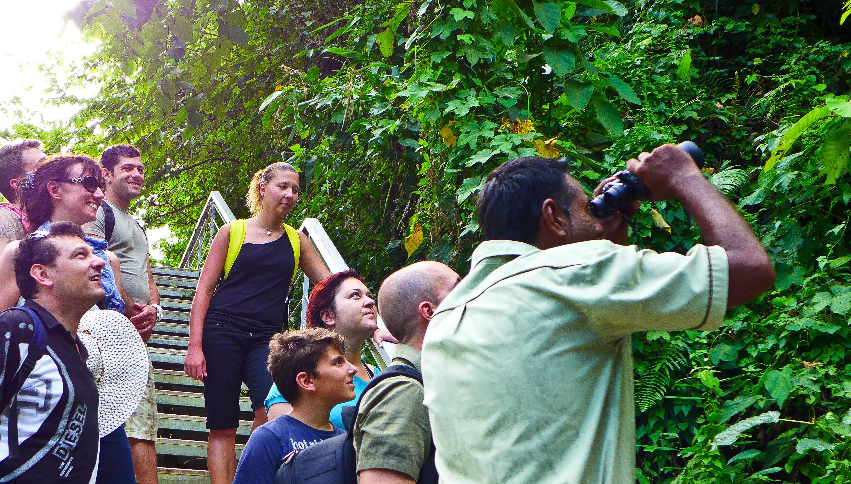 Belum Rainforest Resort