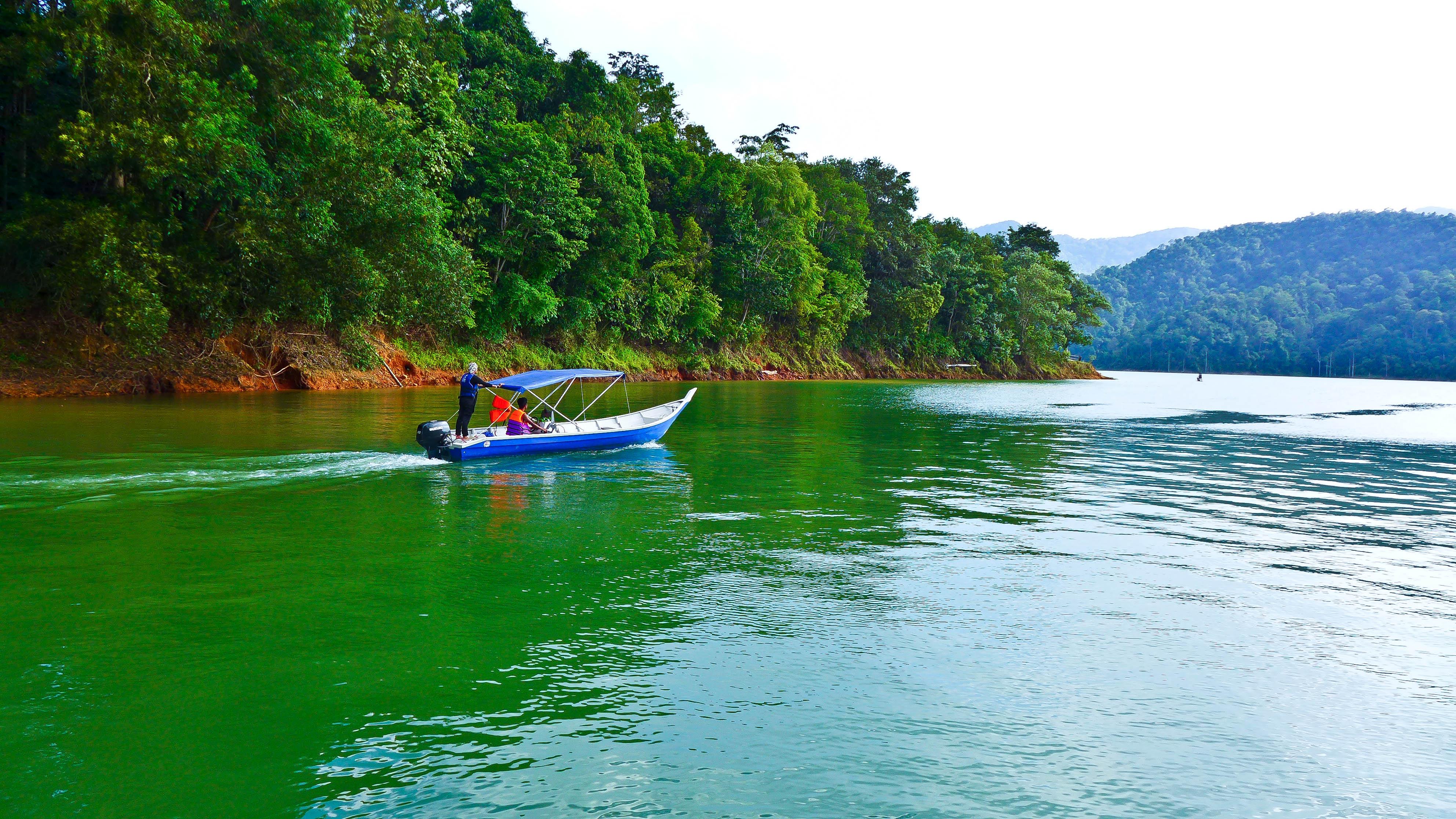 Belum Rainforest Resort