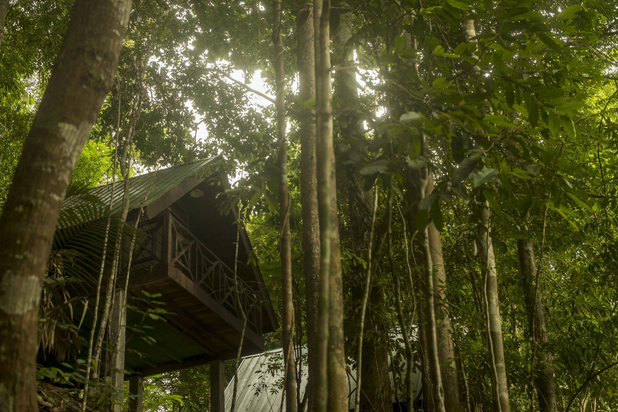 Belum Adventure Camp