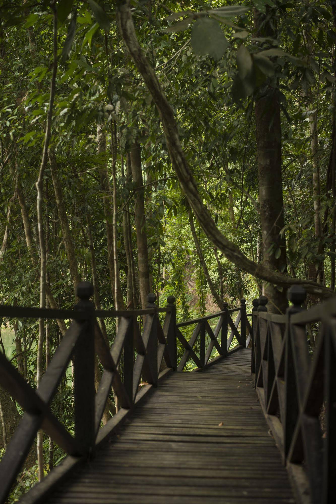 Belum Adventure Camp