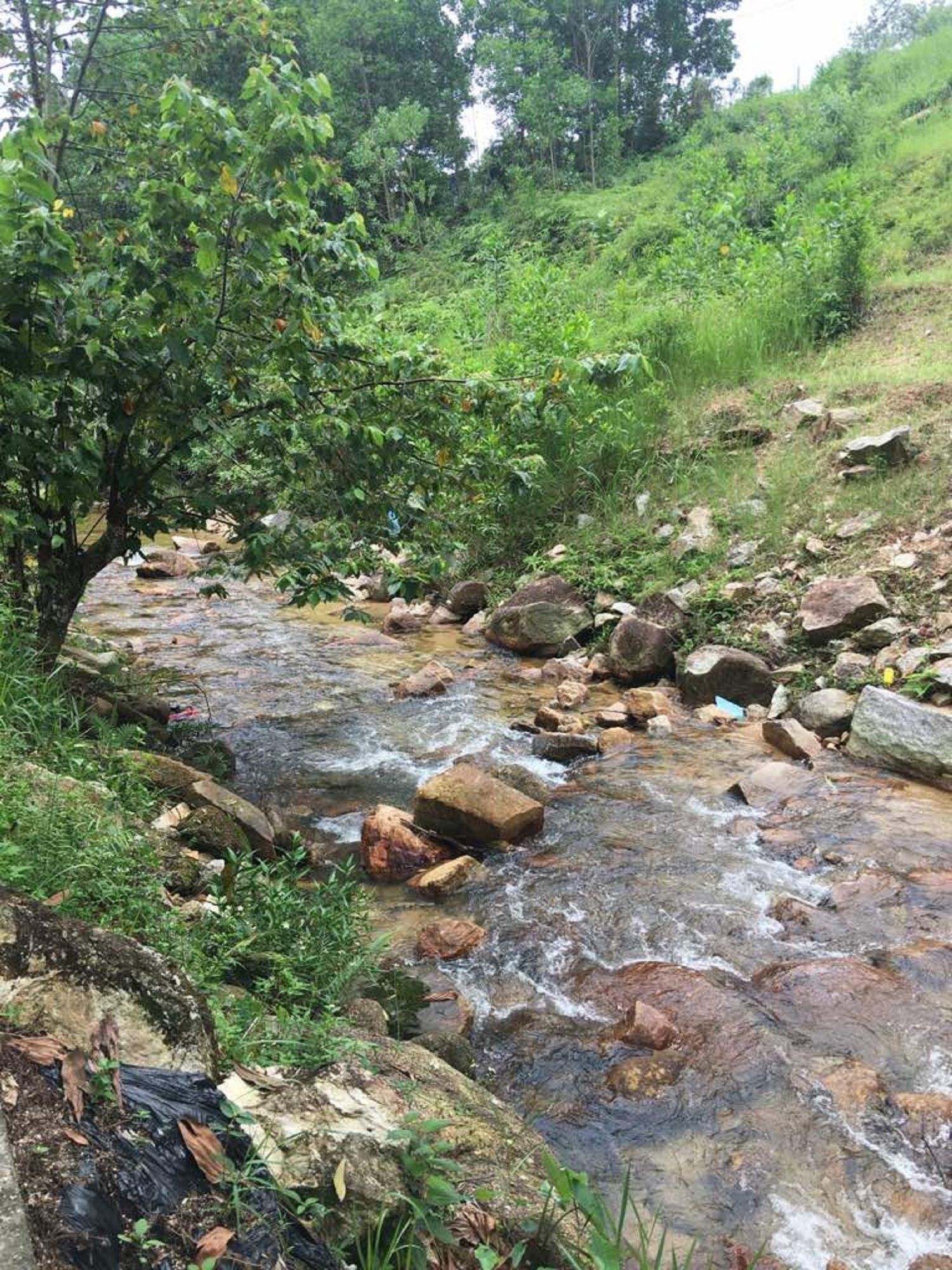 Homestay Pagar Buruk