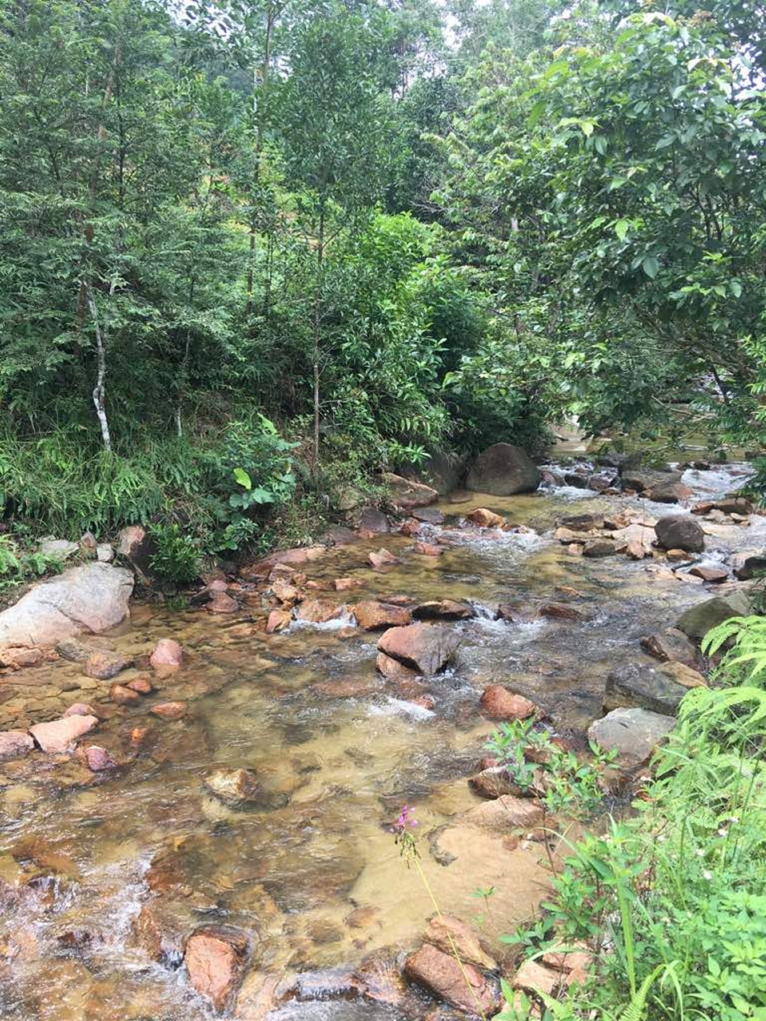Homestay Pagar Buruk