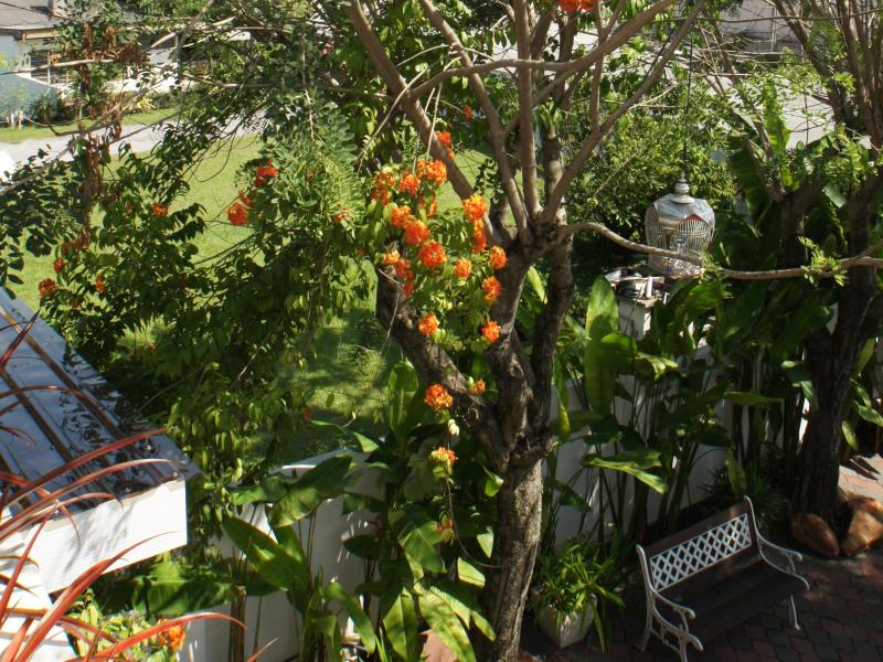 NPF Bali Villa
