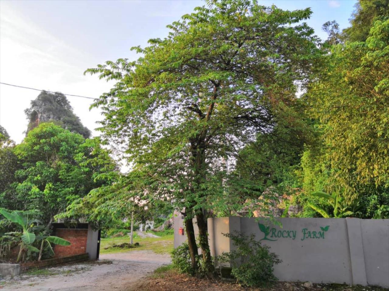 Rocky Farm
