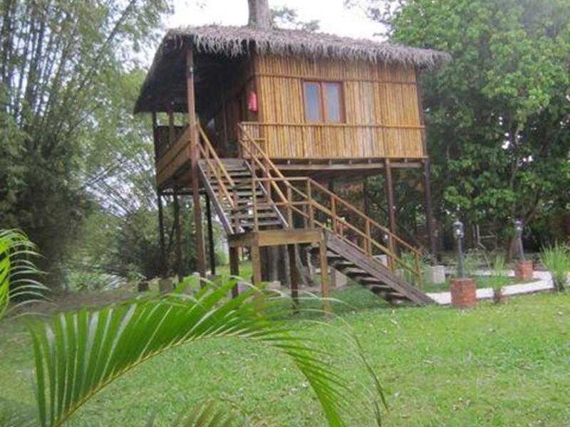 The Roots Eco Resort
