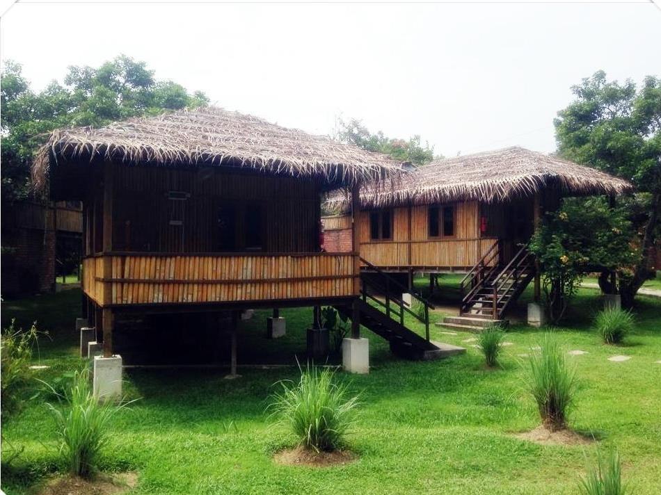 The Roots Eco Resort