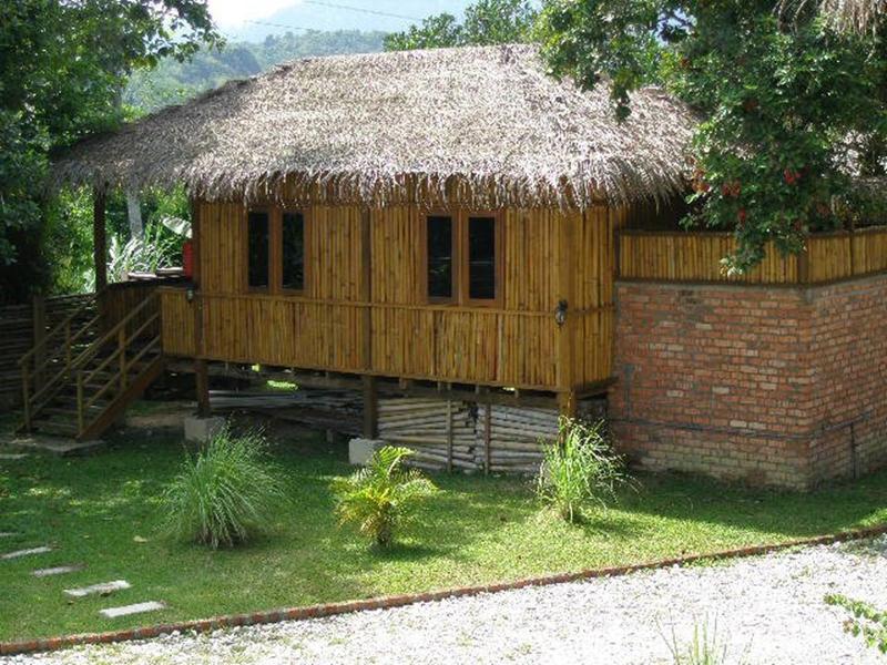 The Roots Eco Resort