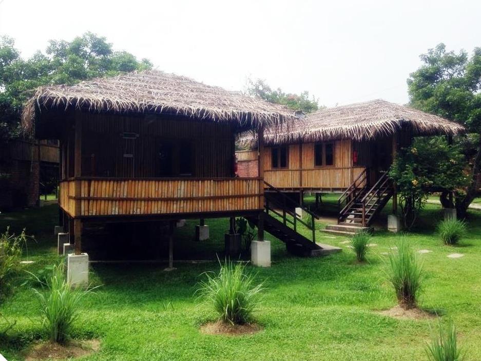 The Roots Eco Resort