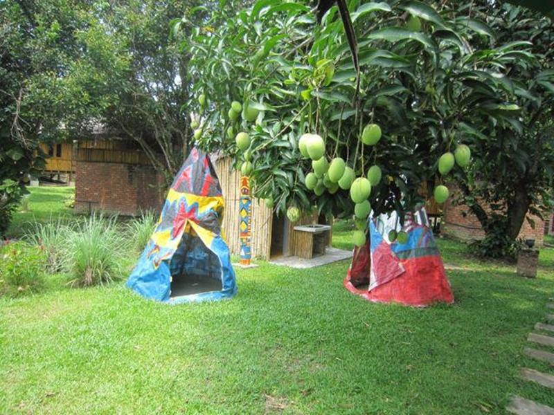 The Roots Eco Resort