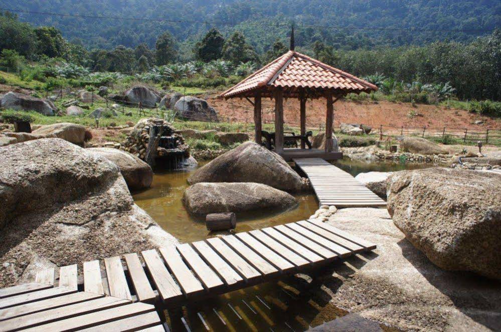 Sahom Valley Resort - Agro & Eco