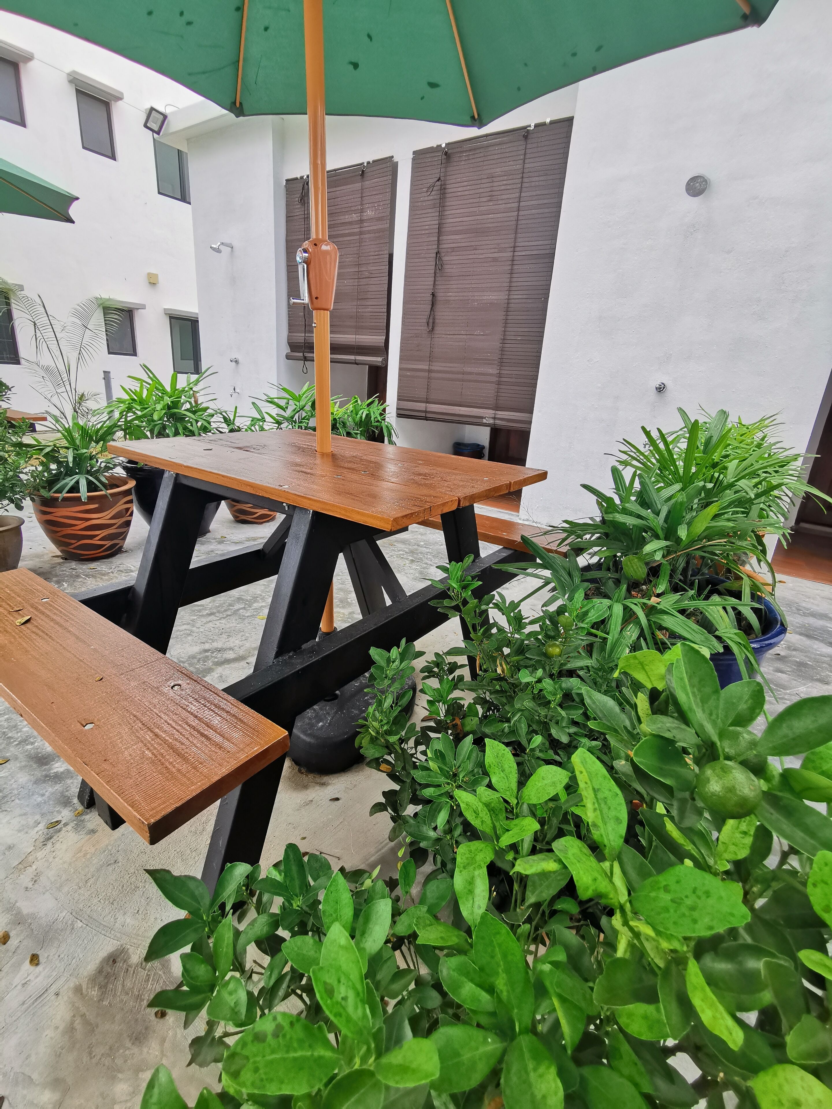 Tatami D'Tepi Laut Pangkor