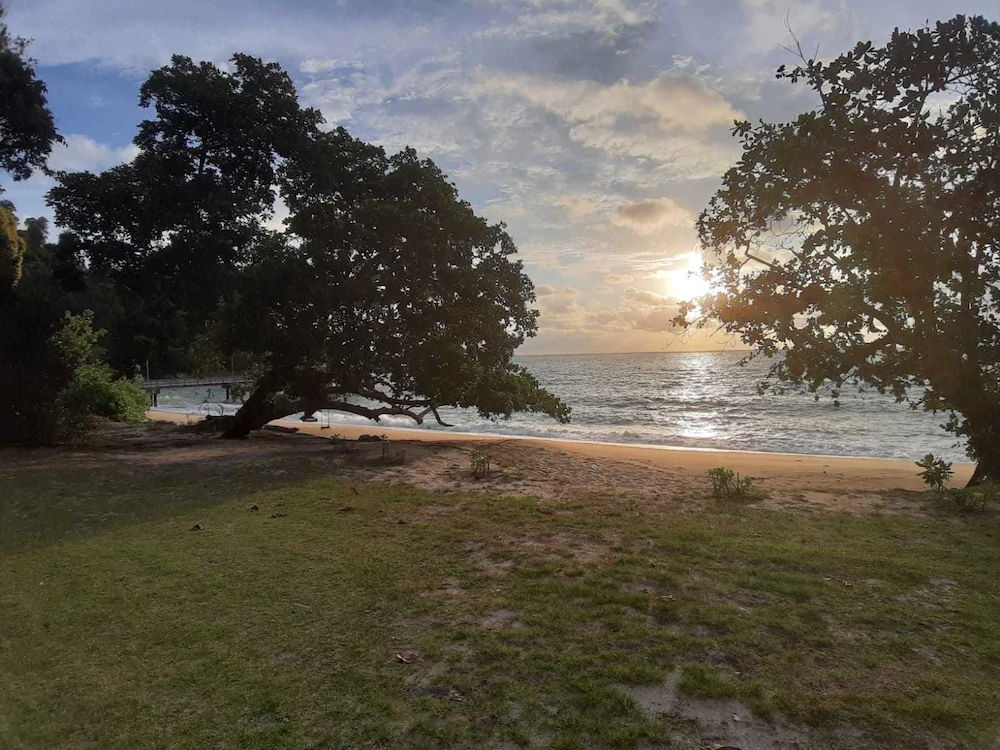 Nazri Nipah Camp