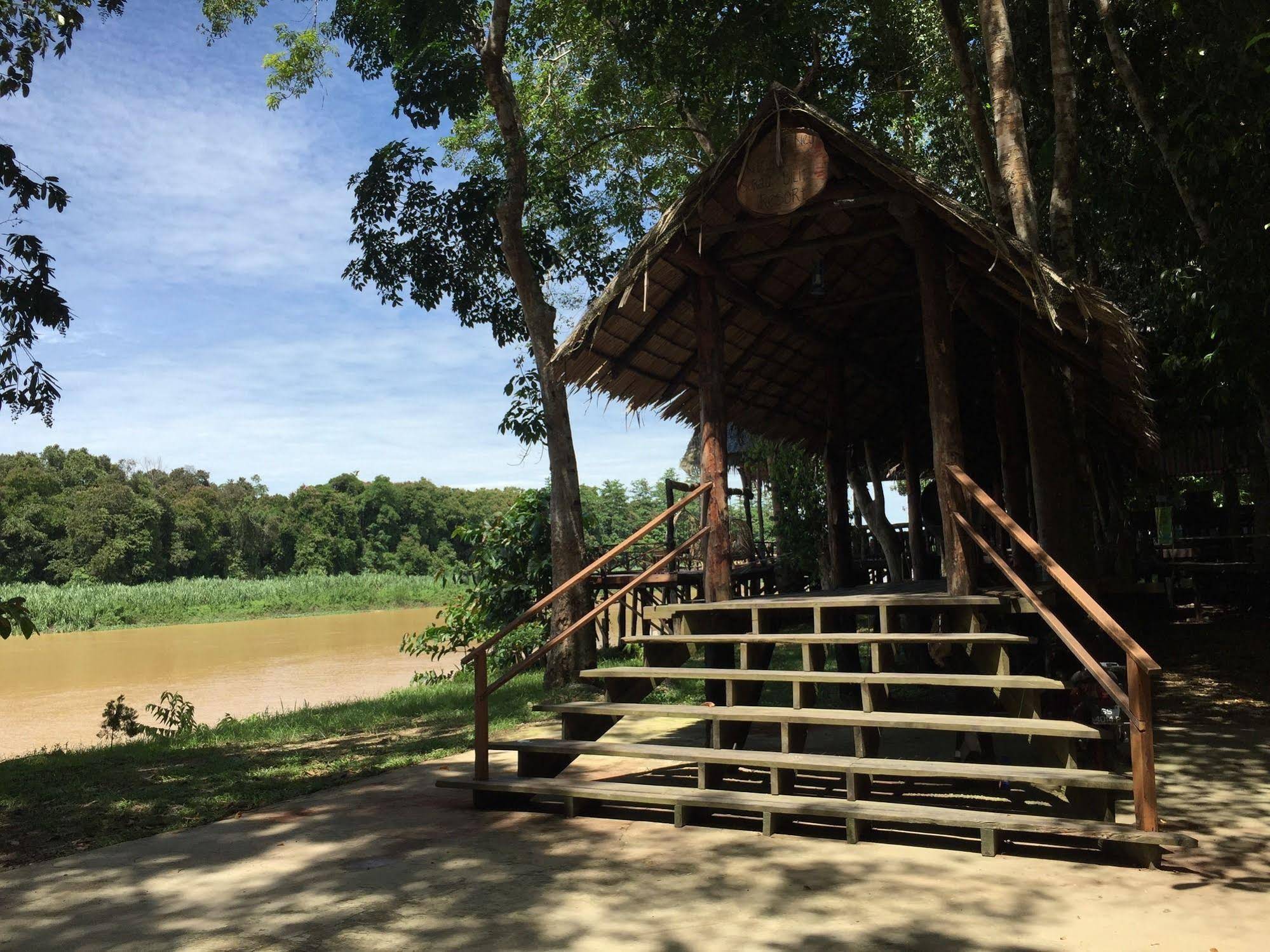 Borneo Natural Sukau Bilit Resort