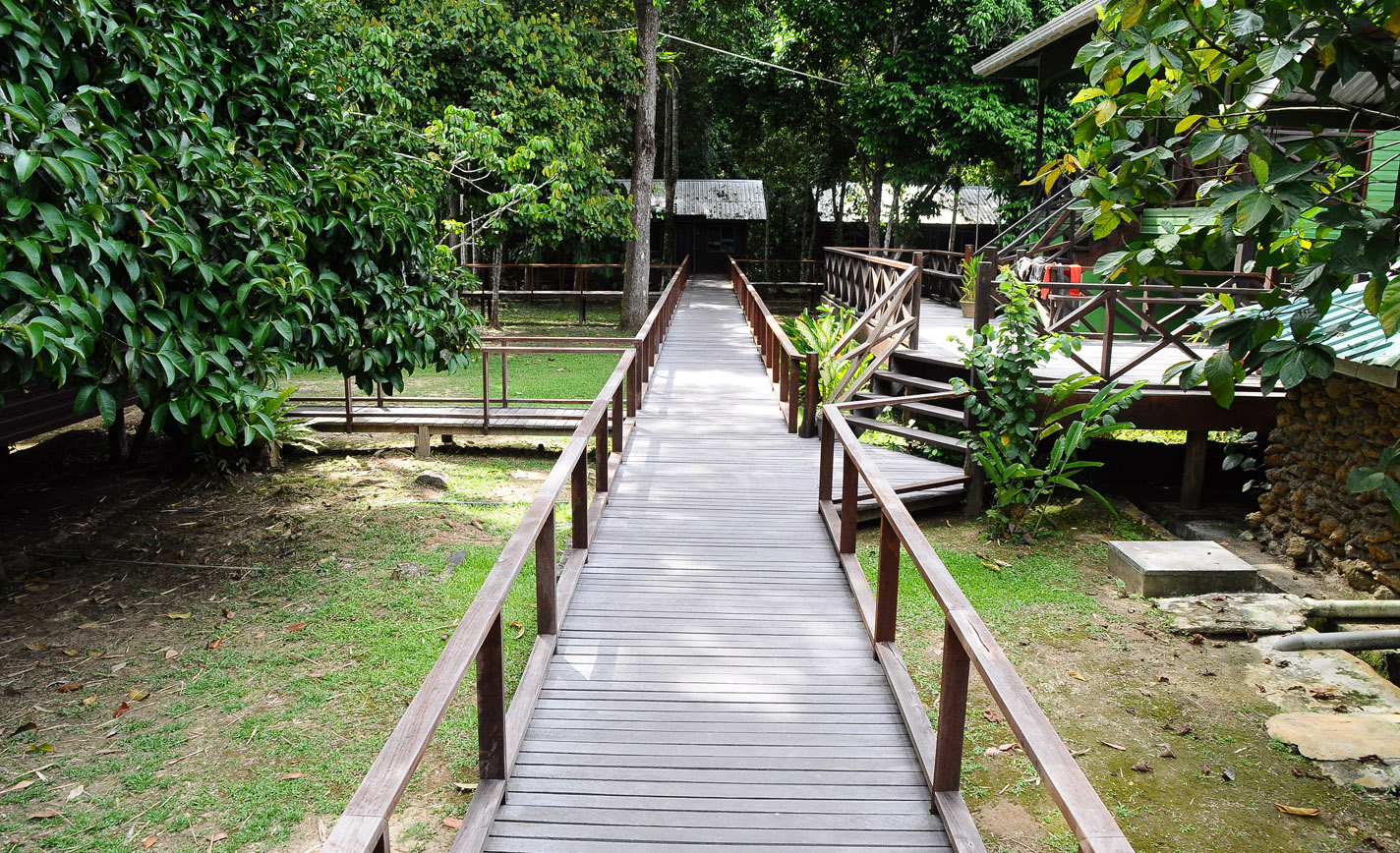 Sukau Greenview Bed & Breakfast