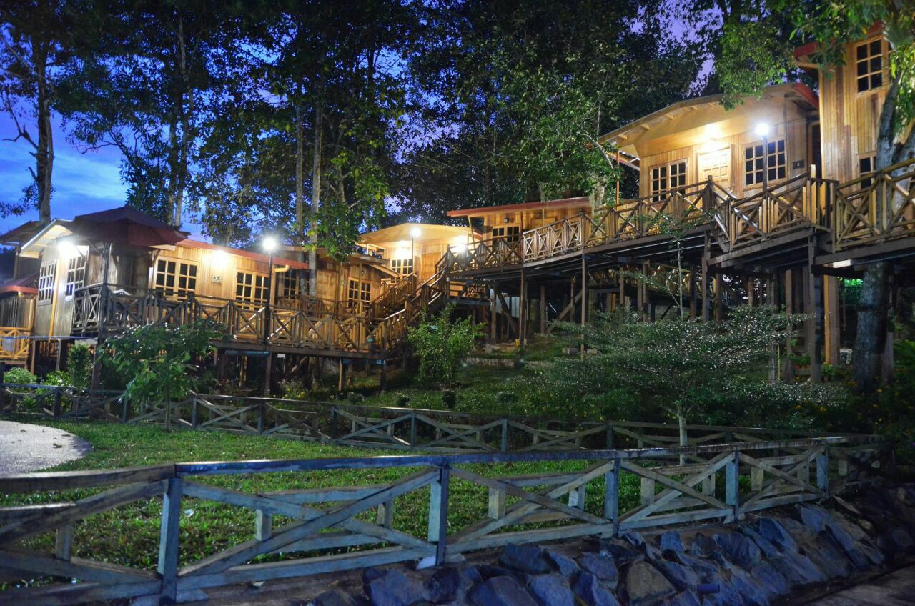 Borneo Tree House