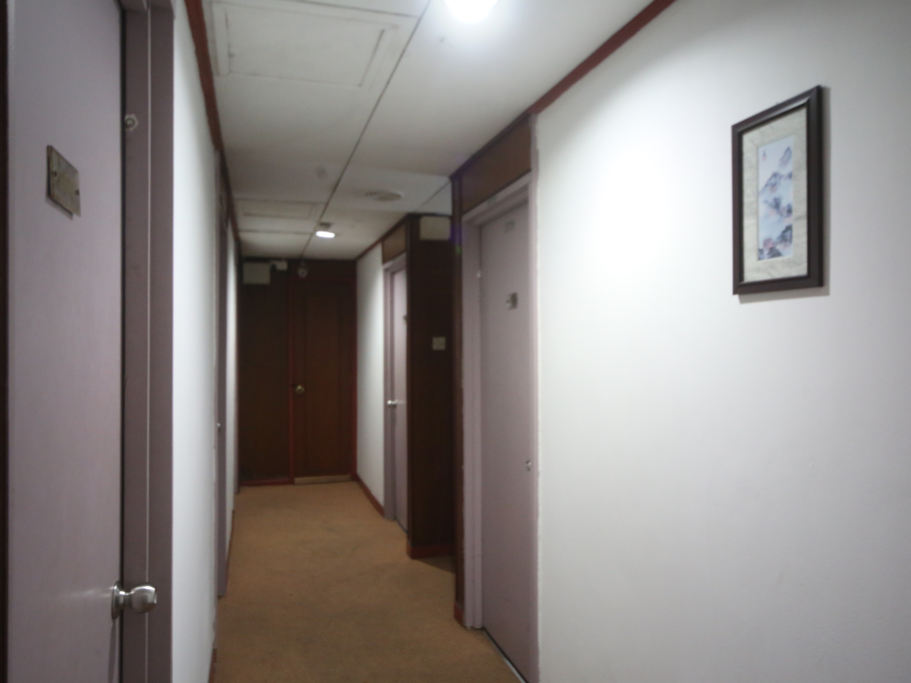 Plaza Hotel by OYO Rooms